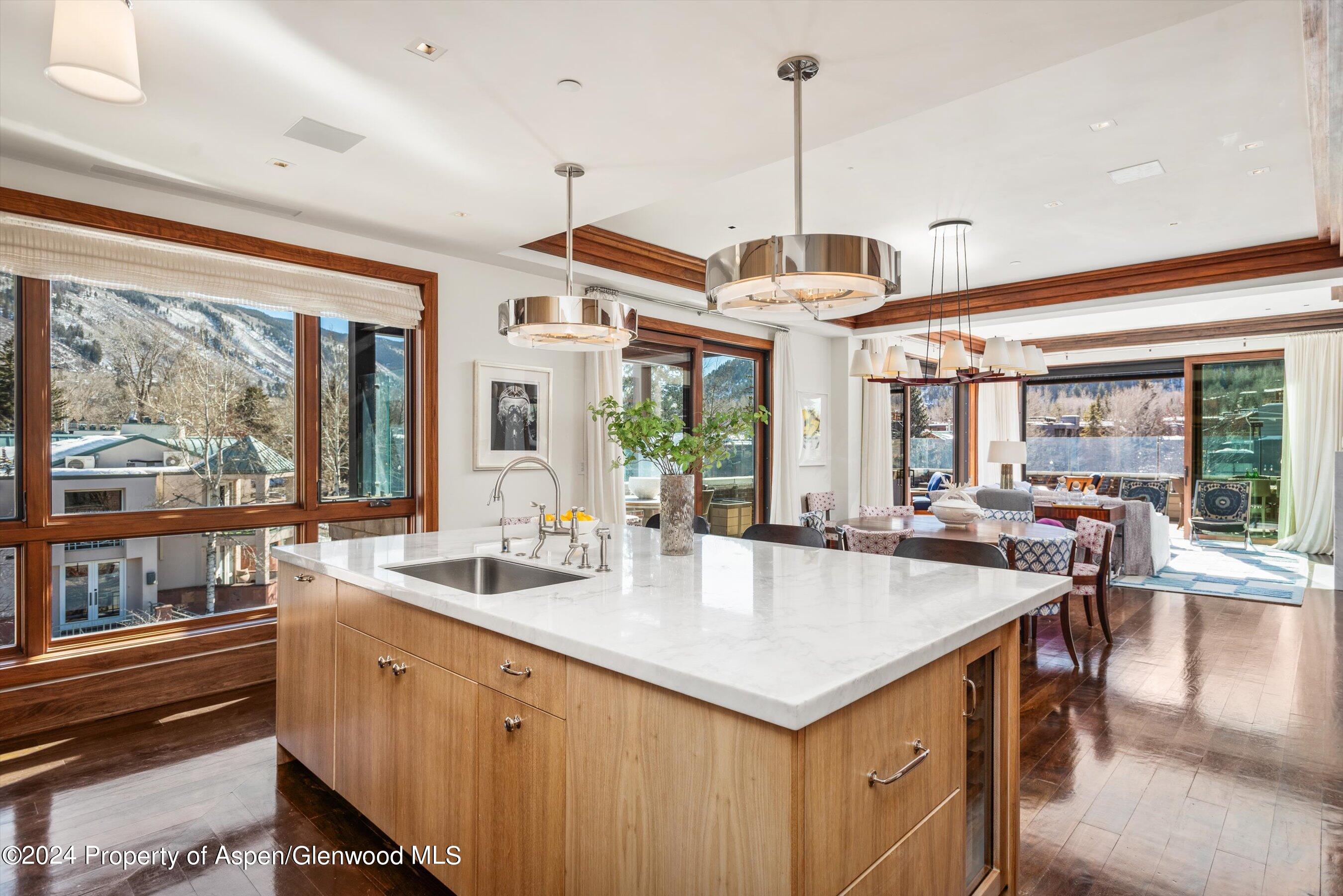 632 E Hopkins 301 Aka 119 S Spring Street Aspen CO 81611