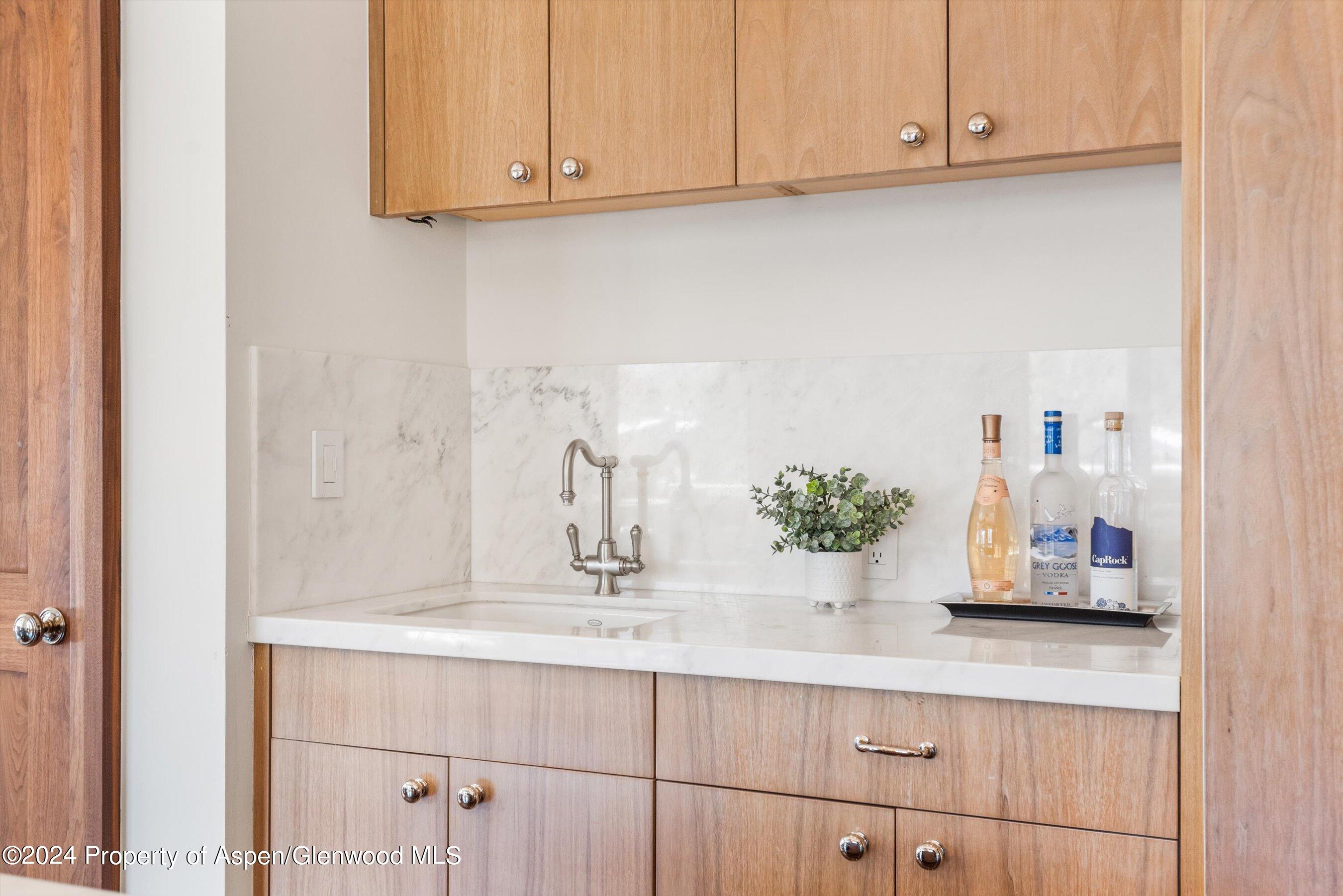 632 E Hopkins 301 Aka 119 S Spring Street Aspen CO 81611