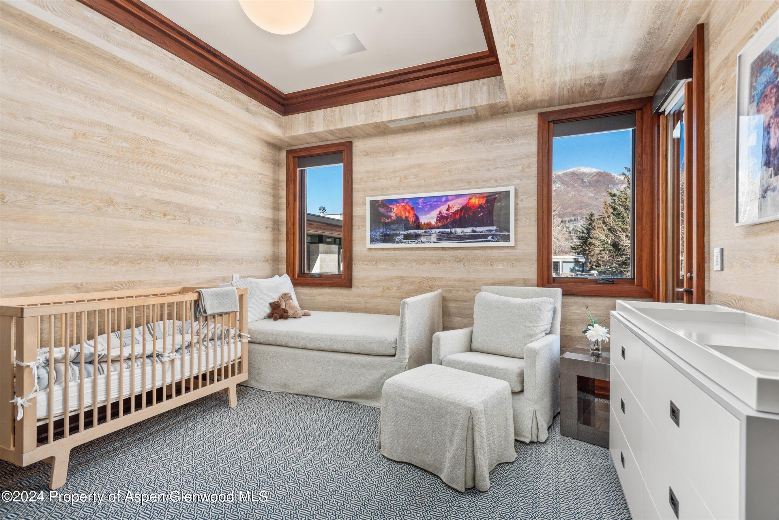 632 E Hopkins 301 Aka 119 S Spring Street Aspen CO 81611