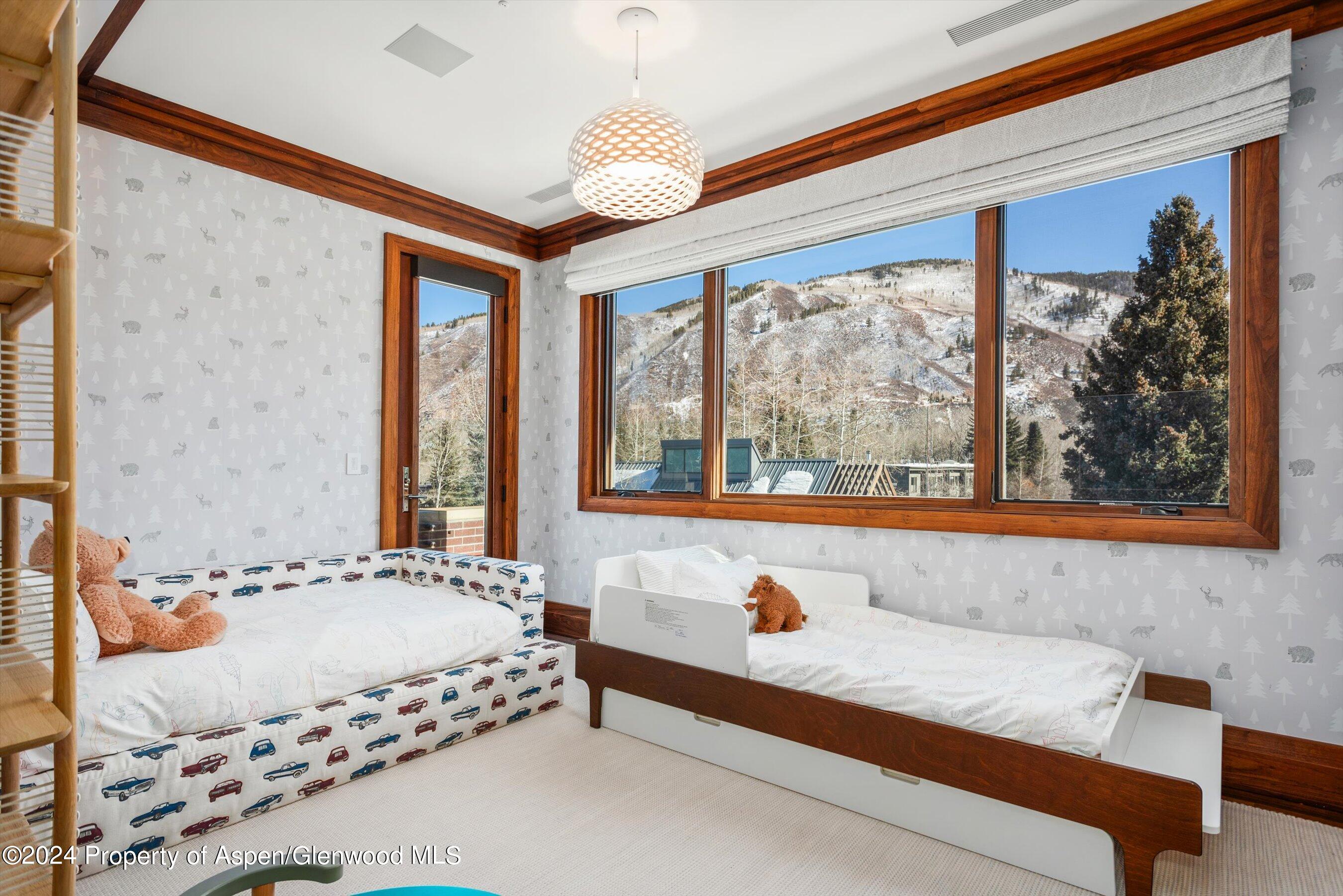 632 E Hopkins 301 Aka 119 S Spring Street Aspen CO 81611