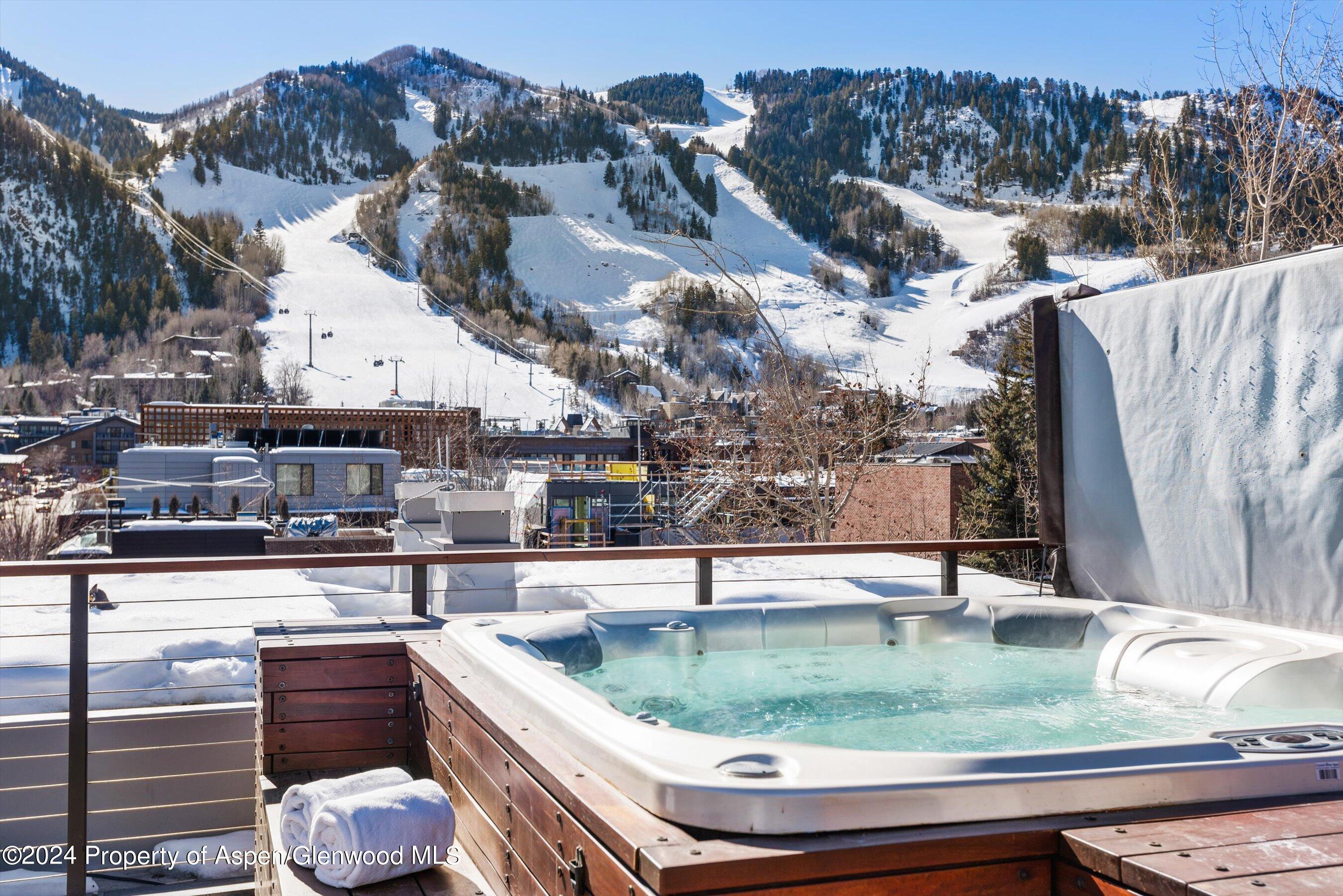 632 E Hopkins 301 Aka 119 S Spring Street Aspen CO 81611