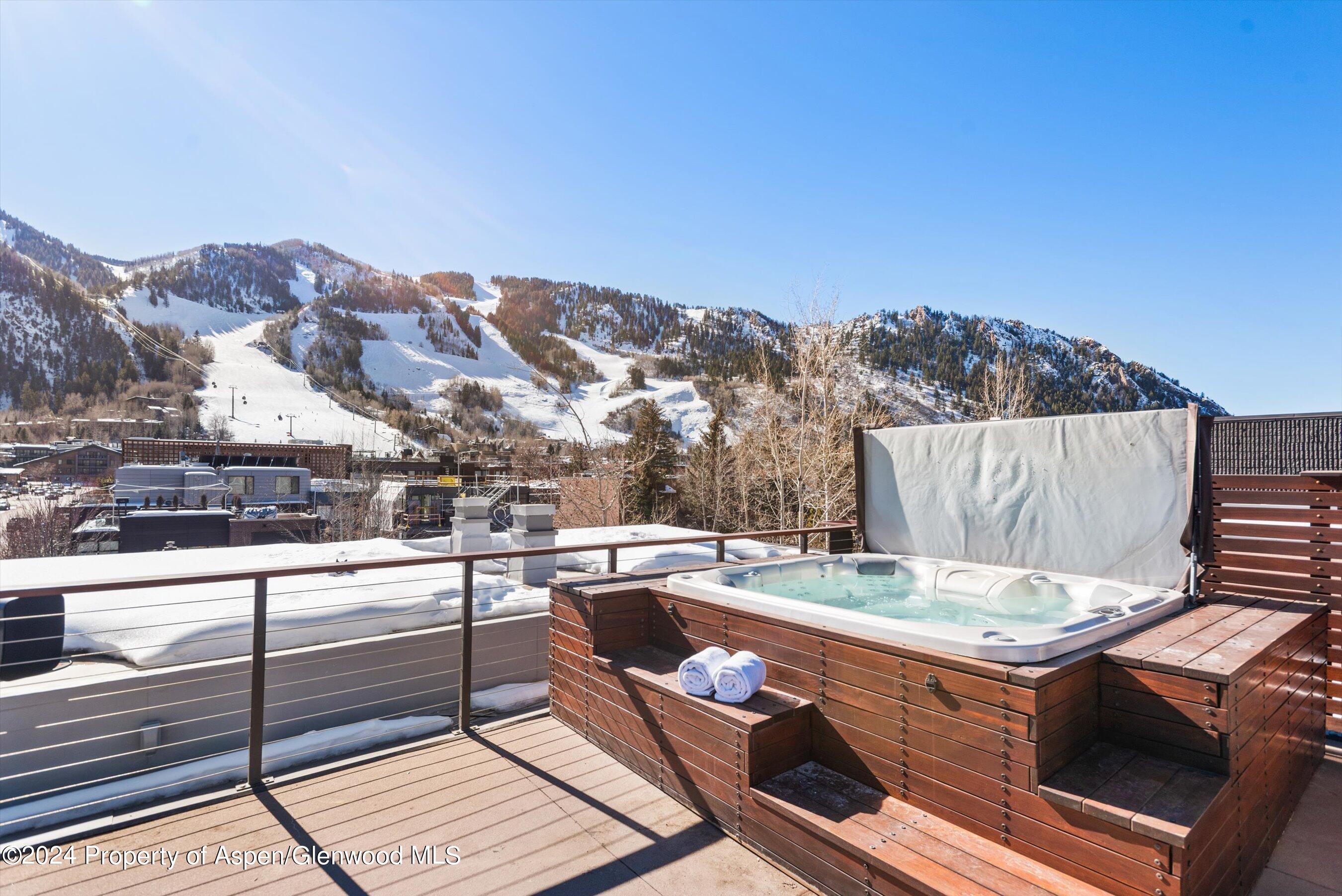 632 E Hopkins 301 Aka 119 S Spring Street Aspen CO 81611