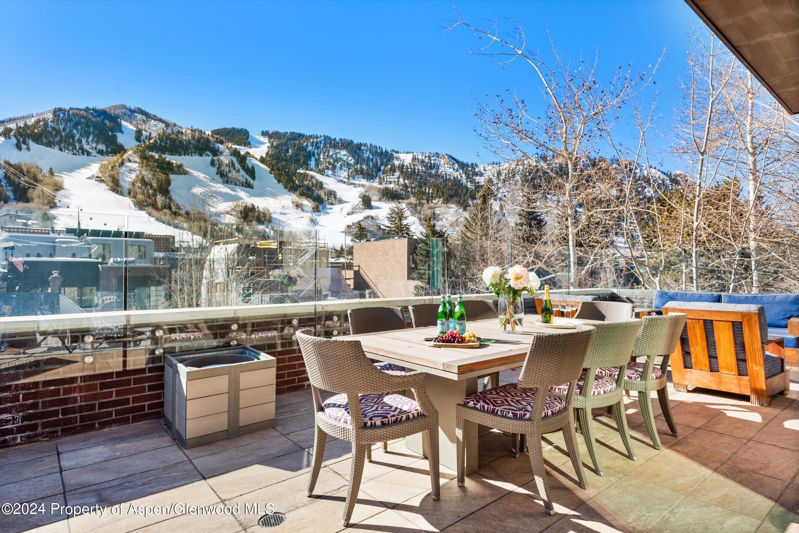 632 E Hopkins 301 Aka 119 S Spring Street Aspen CO 81611