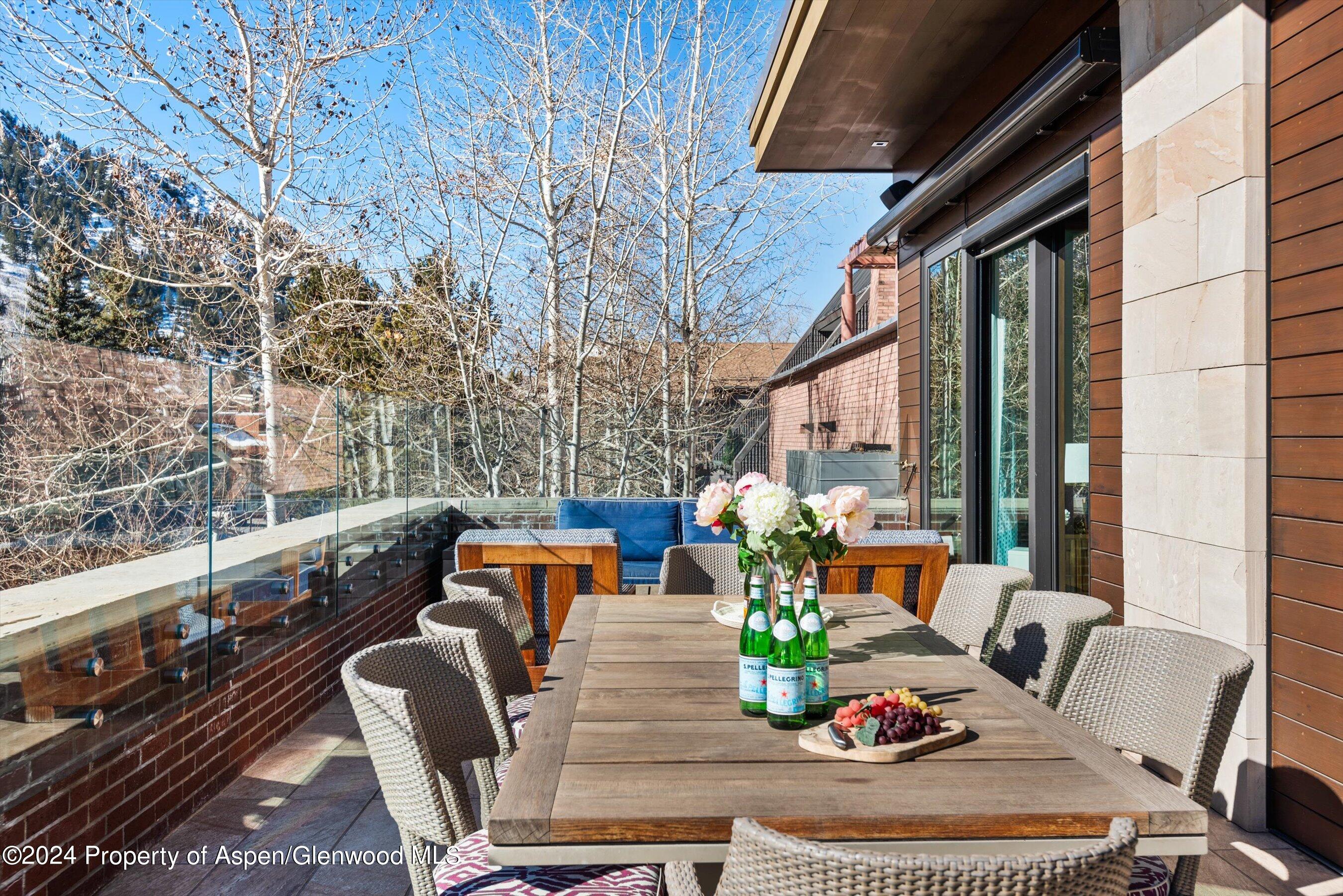 632 E Hopkins 301 Aka 119 S Spring Street Aspen CO 81611