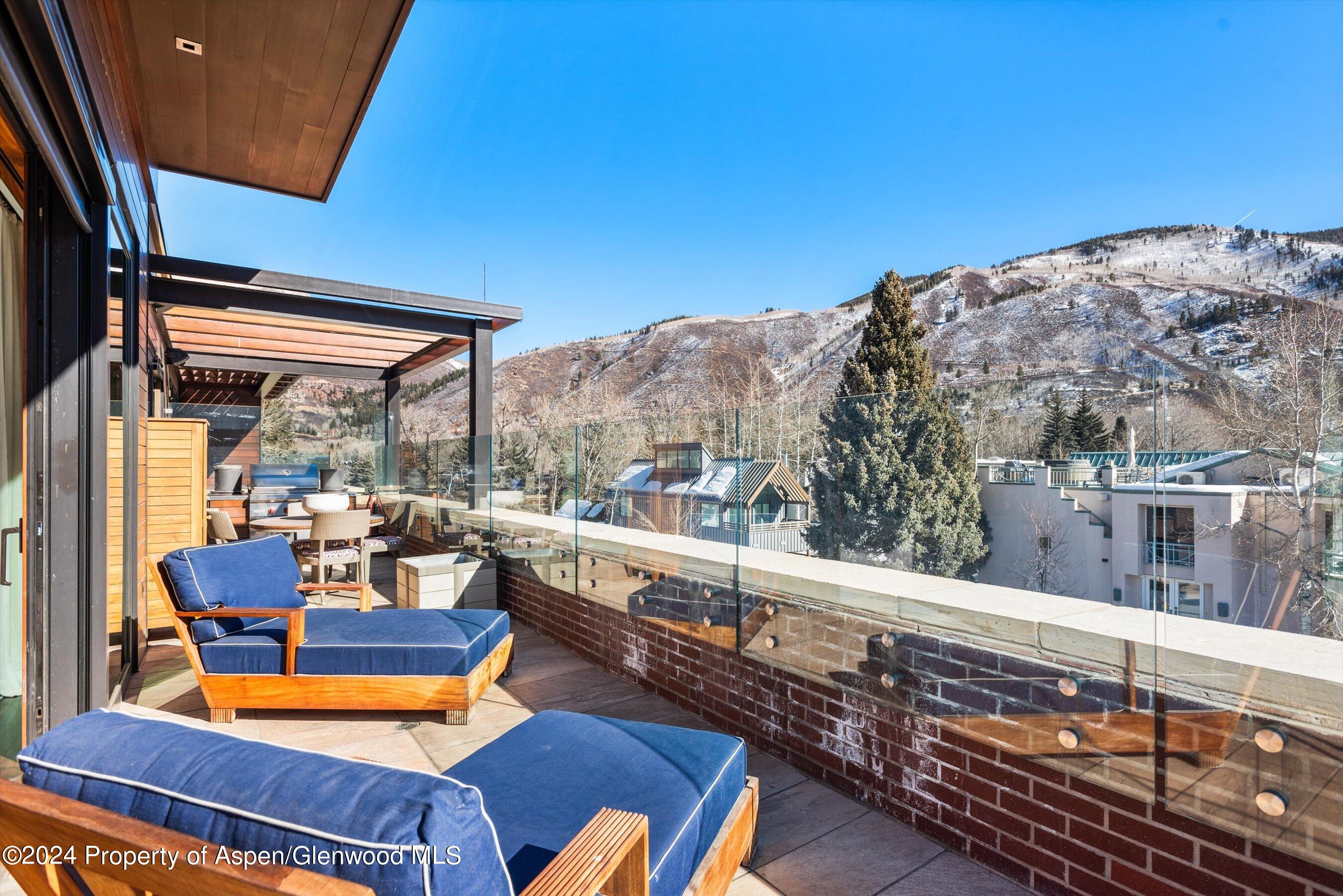 632 E Hopkins 301 Aka 119 S Spring Street Aspen CO 81611