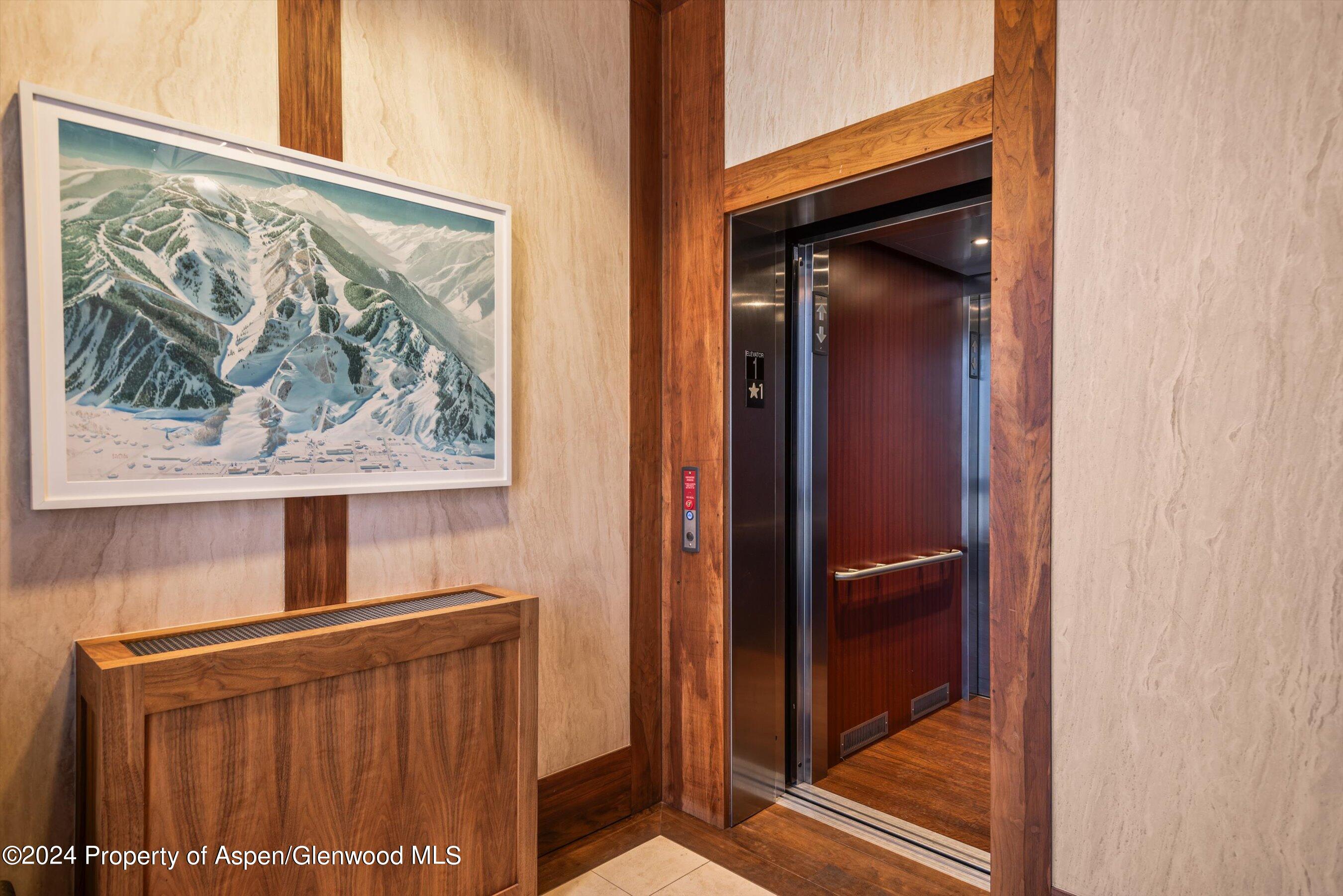 632 E Hopkins 301 Aka 119 S Spring Street Aspen CO 81611