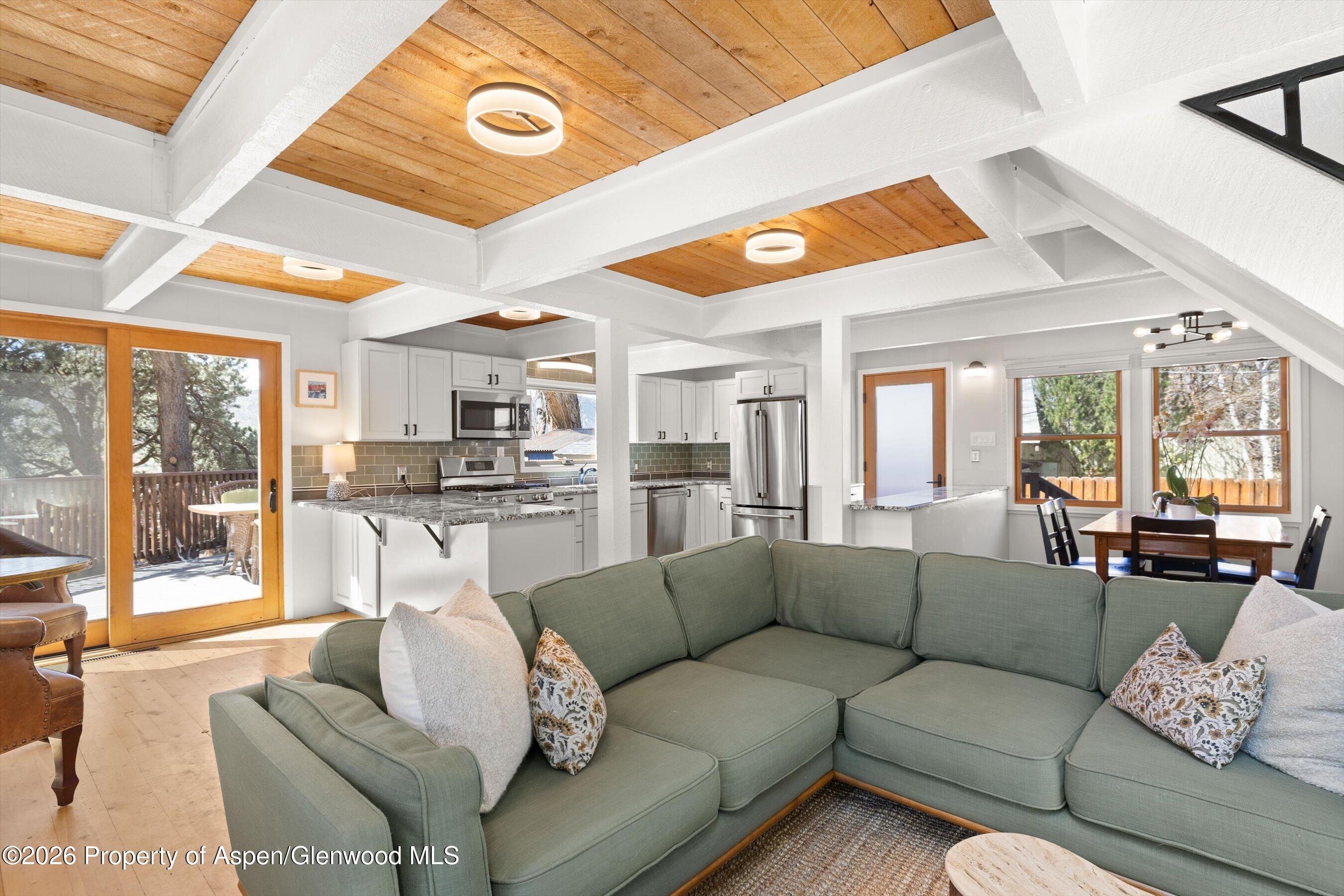 217 Longhorn Lane Basalt CO 81621