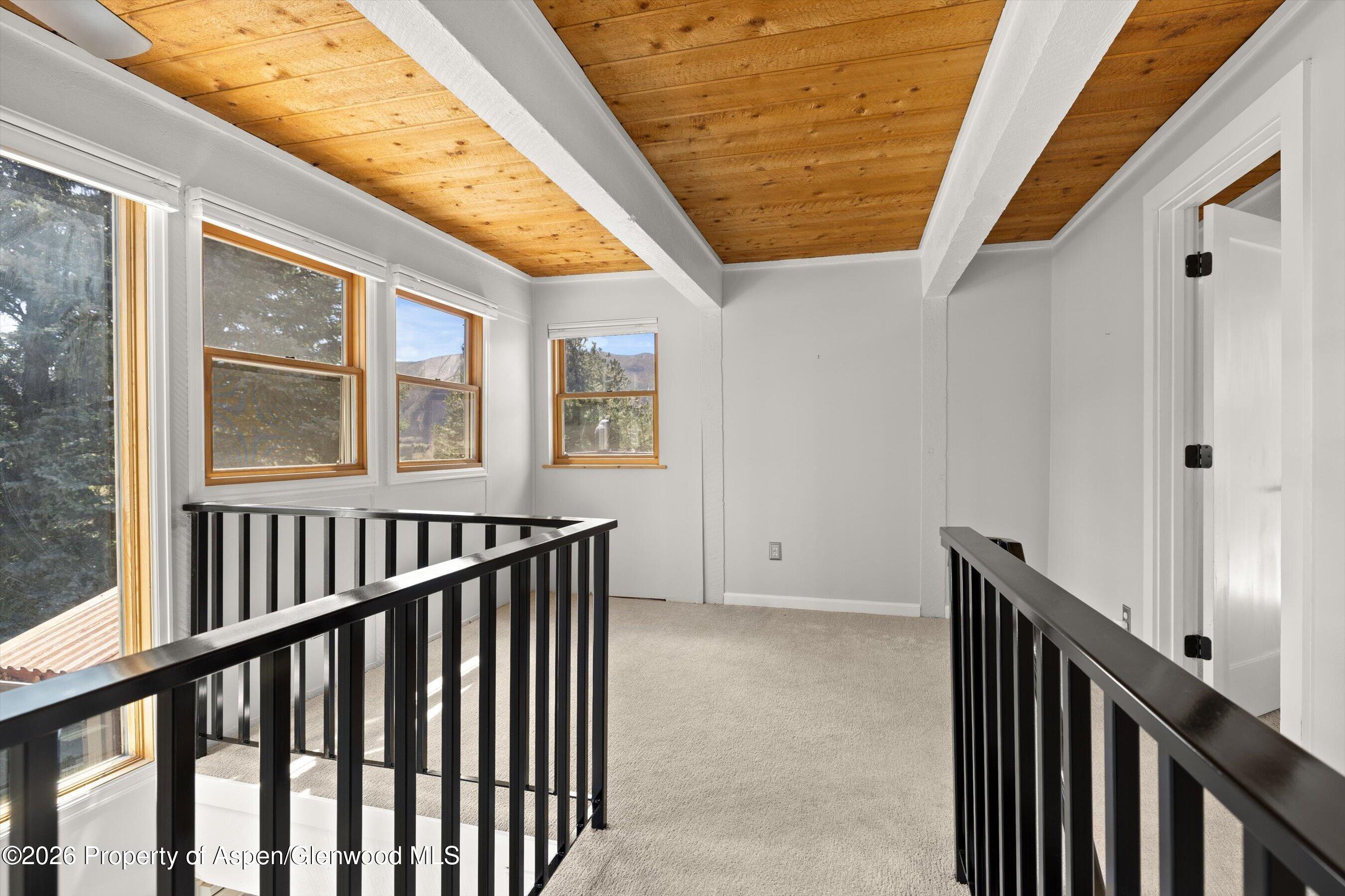 217 Longhorn Lane Basalt CO 81621