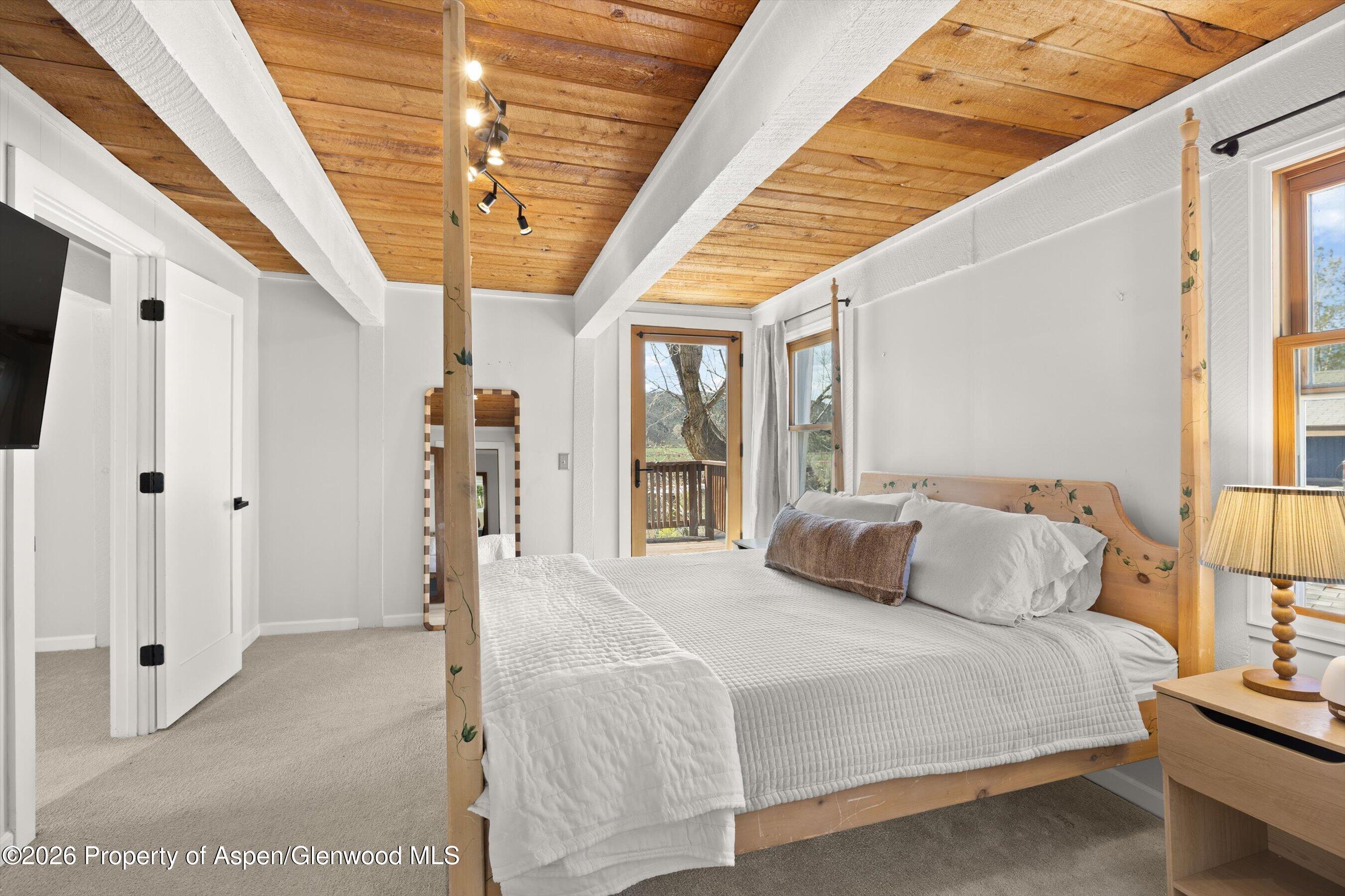 217 Longhorn Lane Basalt CO 81621