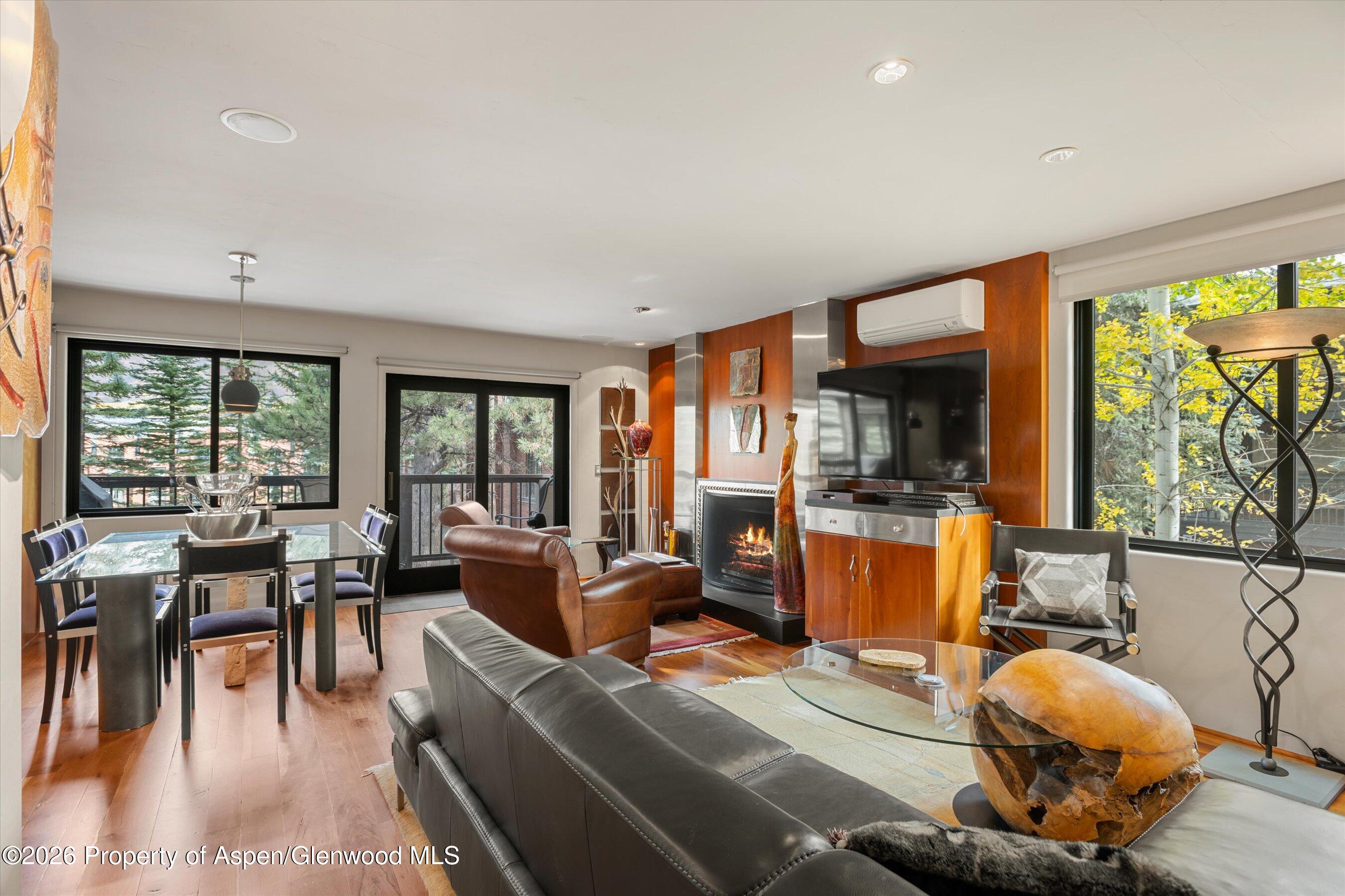 Aspen CO, 650 S Monarch Street, Unit 9