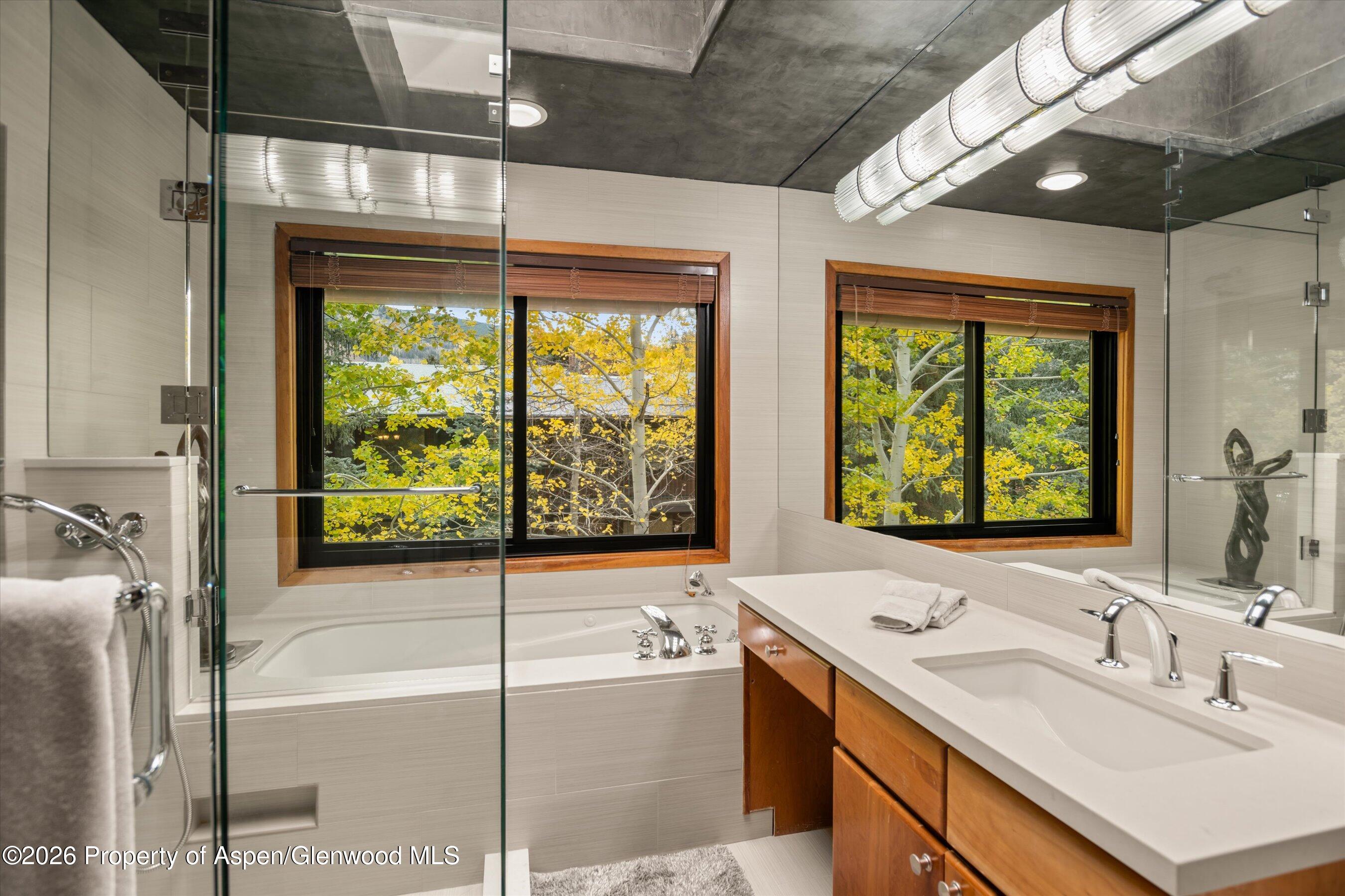 650 S Monarch Street Aspen CO 81611