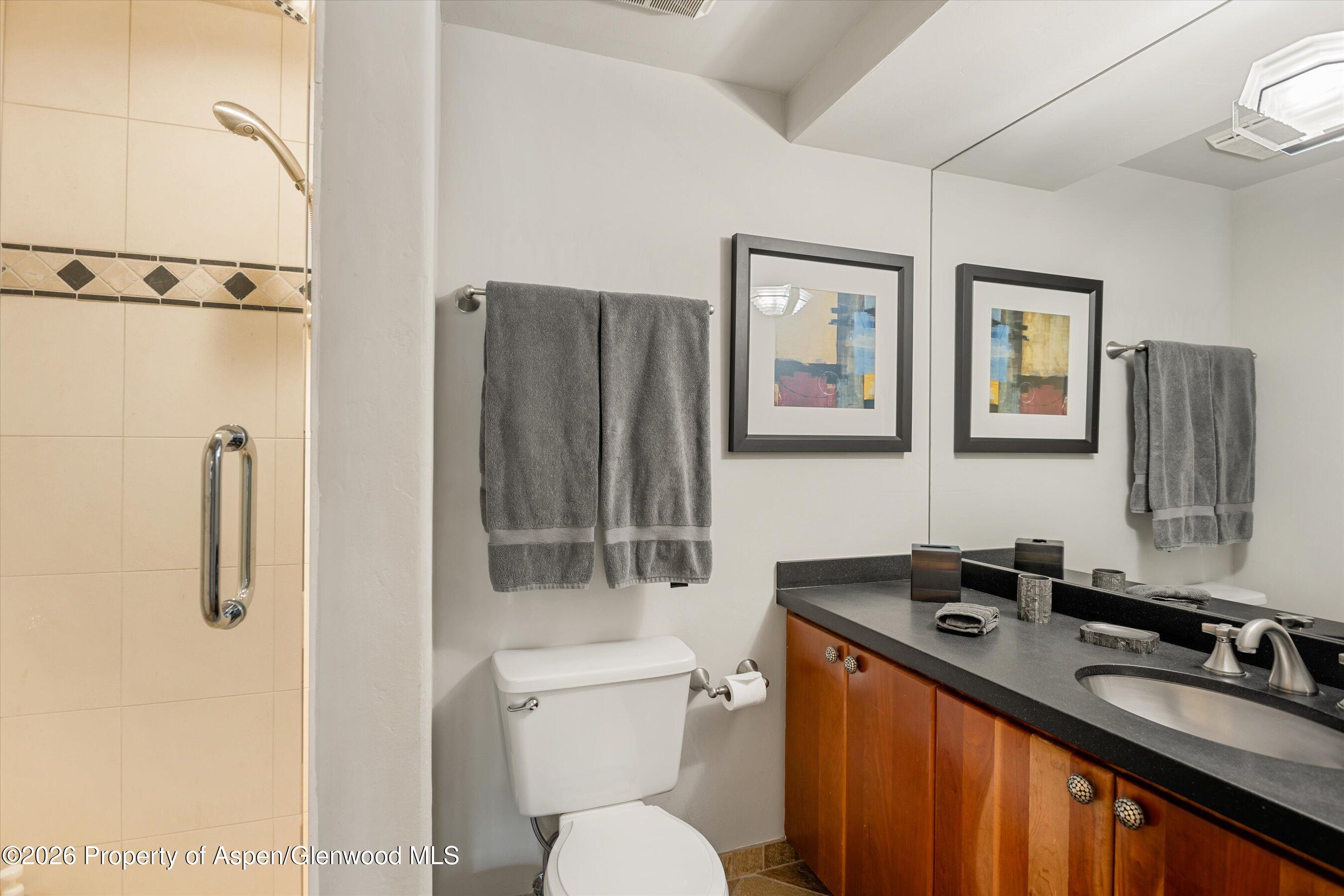 650 S Monarch Street Aspen CO 81611