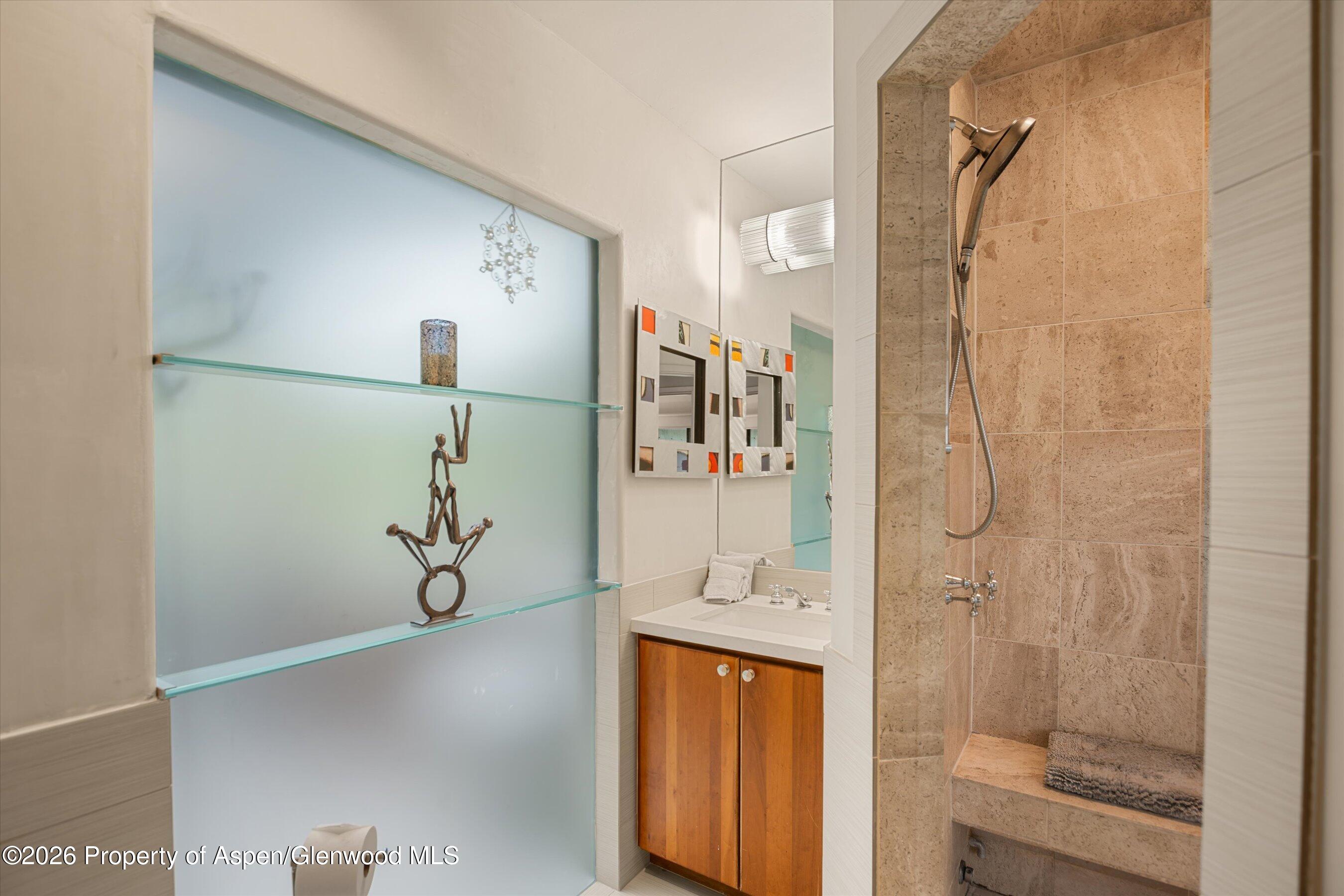 650 S Monarch Street Aspen CO 81611