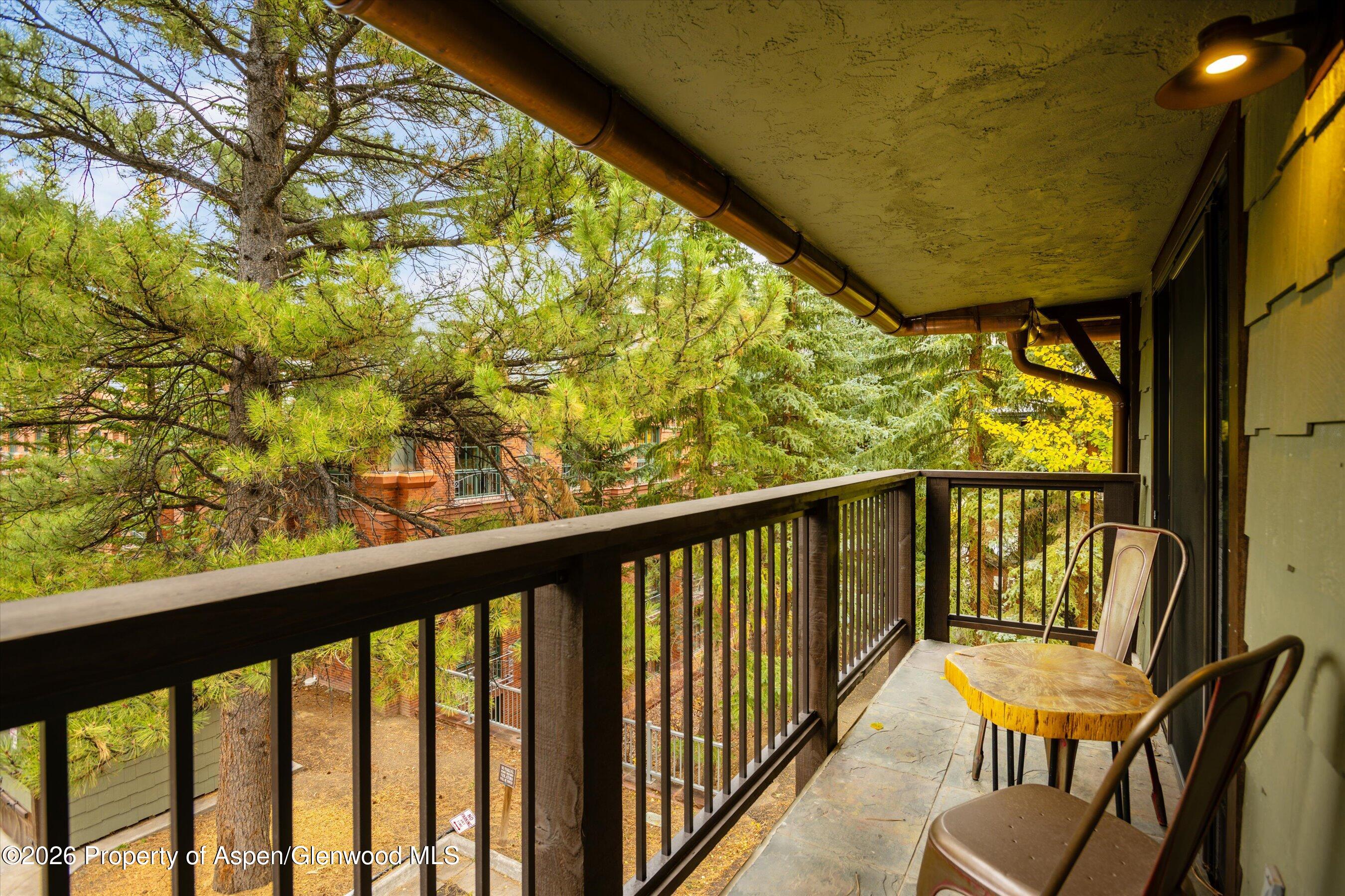 650 S Monarch Street Aspen CO 81611