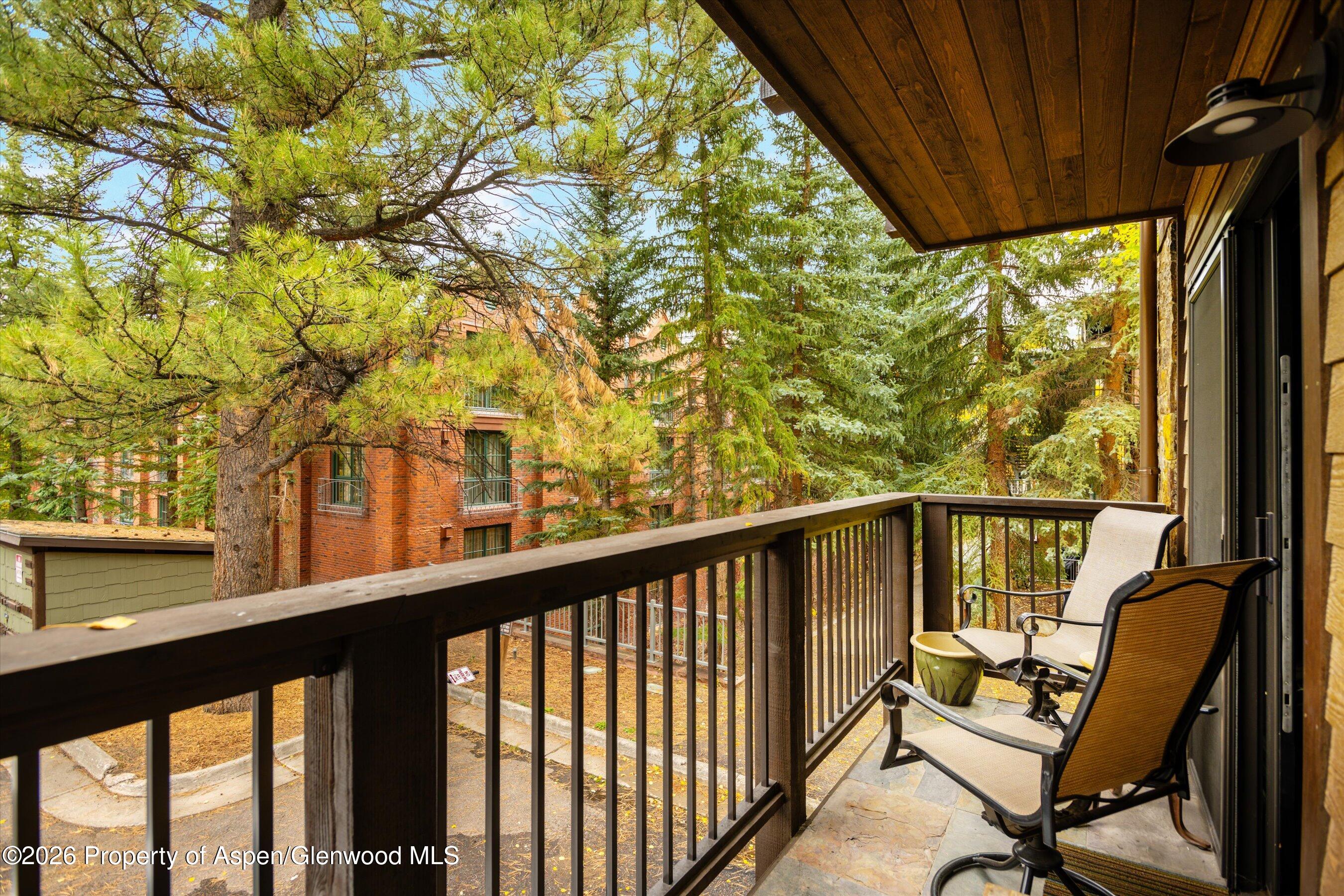 650 S Monarch Street Aspen CO 81611