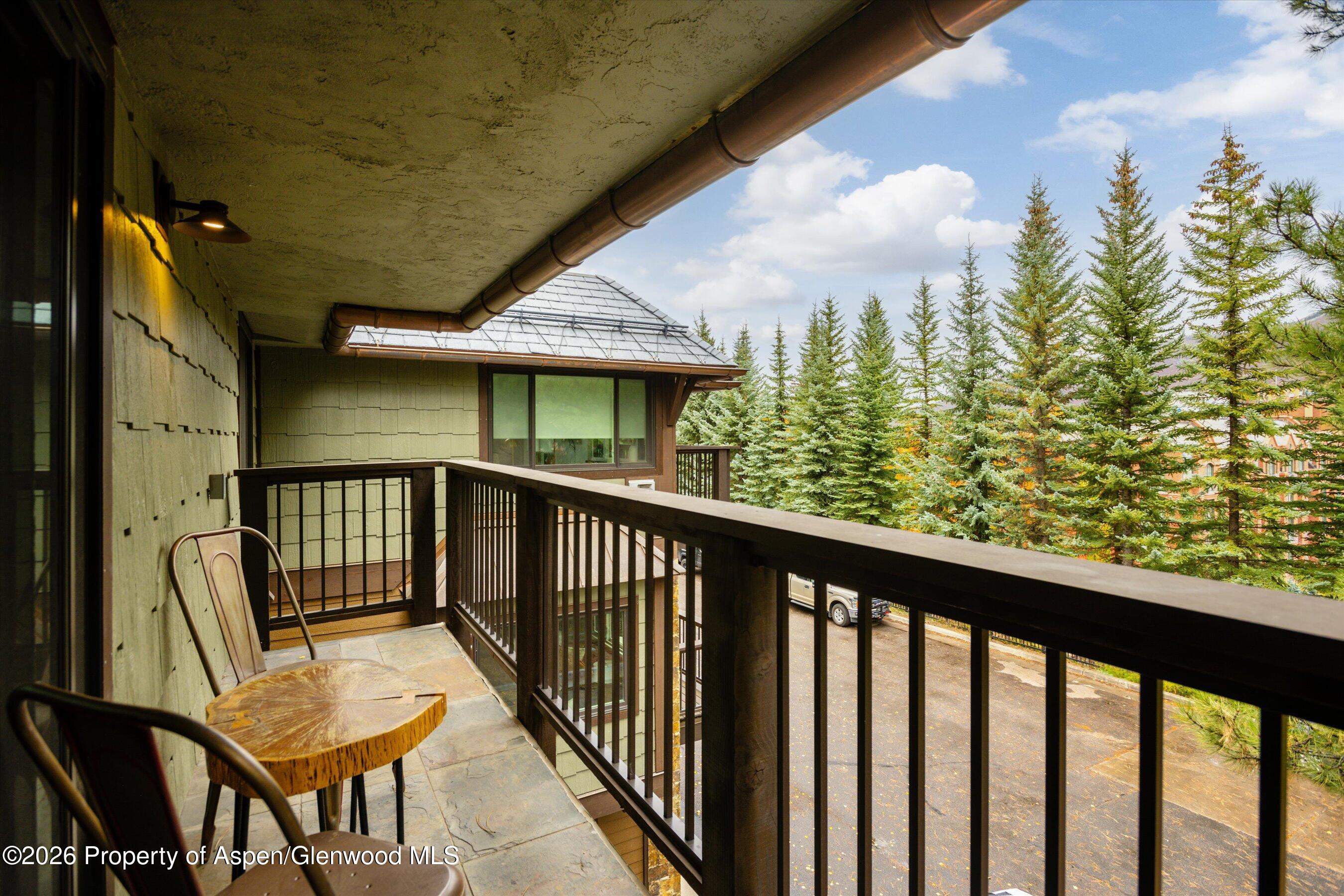 650 S Monarch Street Aspen CO 81611