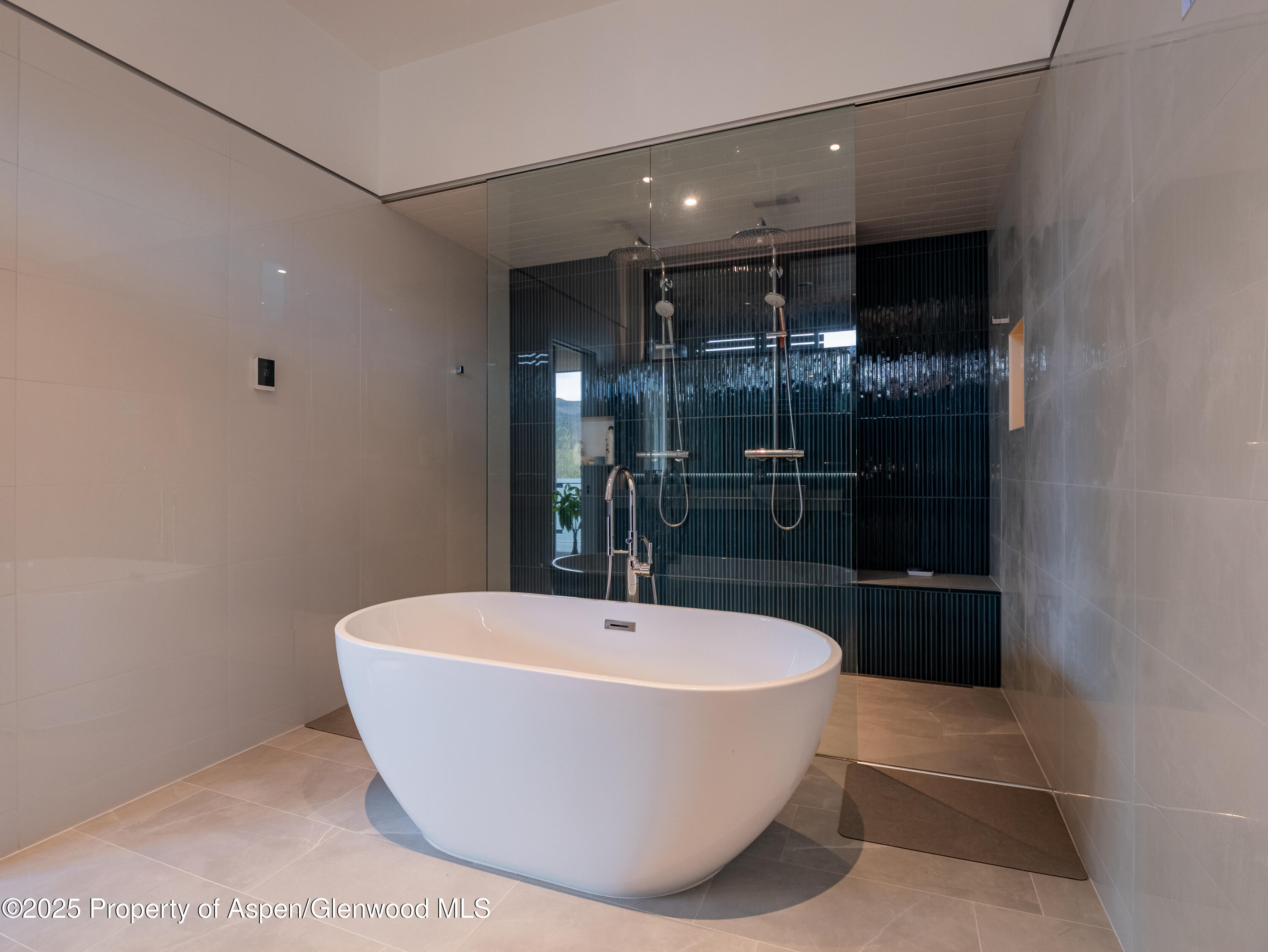 200 E Homestead Drive Basalt CO 81621