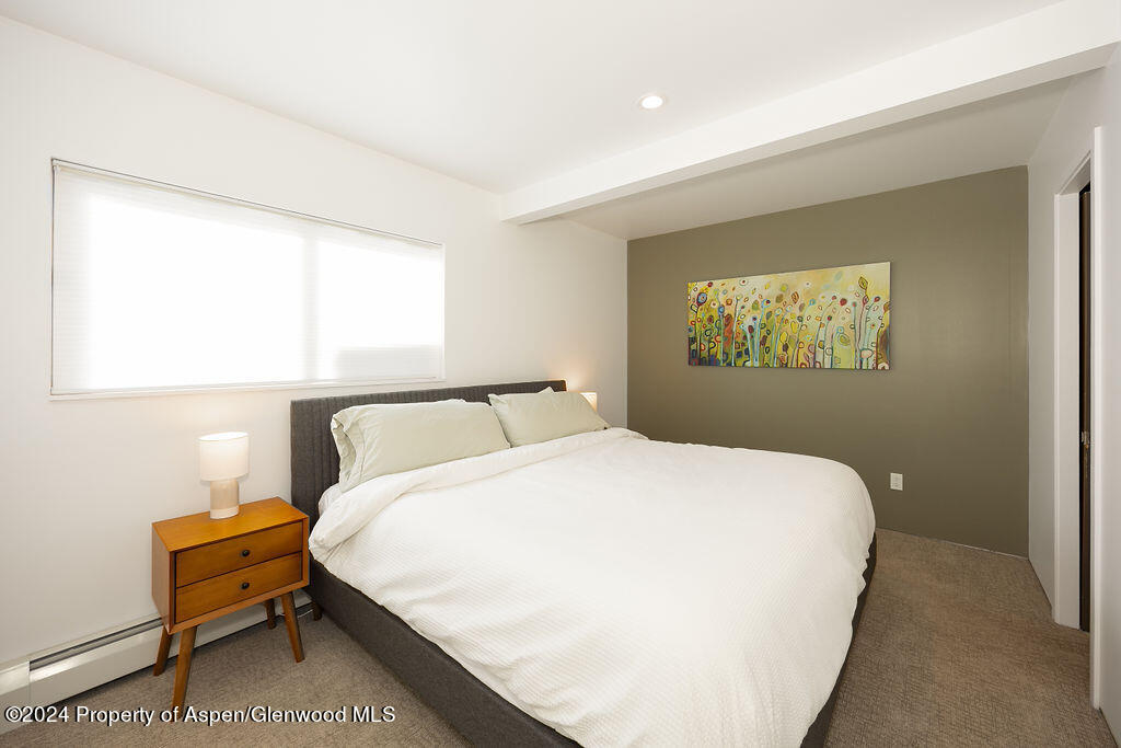 200 E Homestead Drive Basalt CO 81621