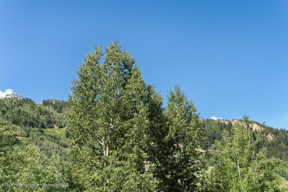 1039 E Cooper Avenue Aspen CO 81611