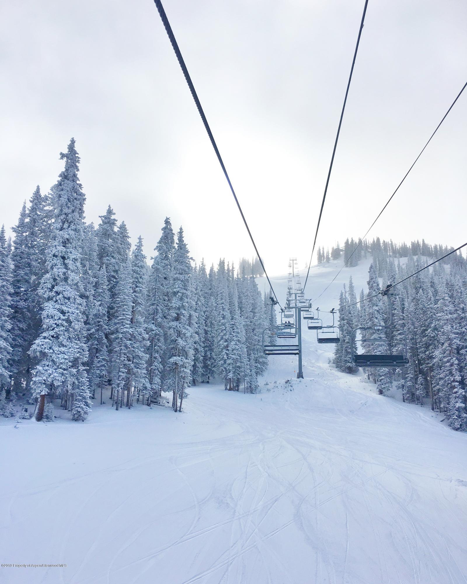 1039 E Cooper Avenue Aspen CO 81611