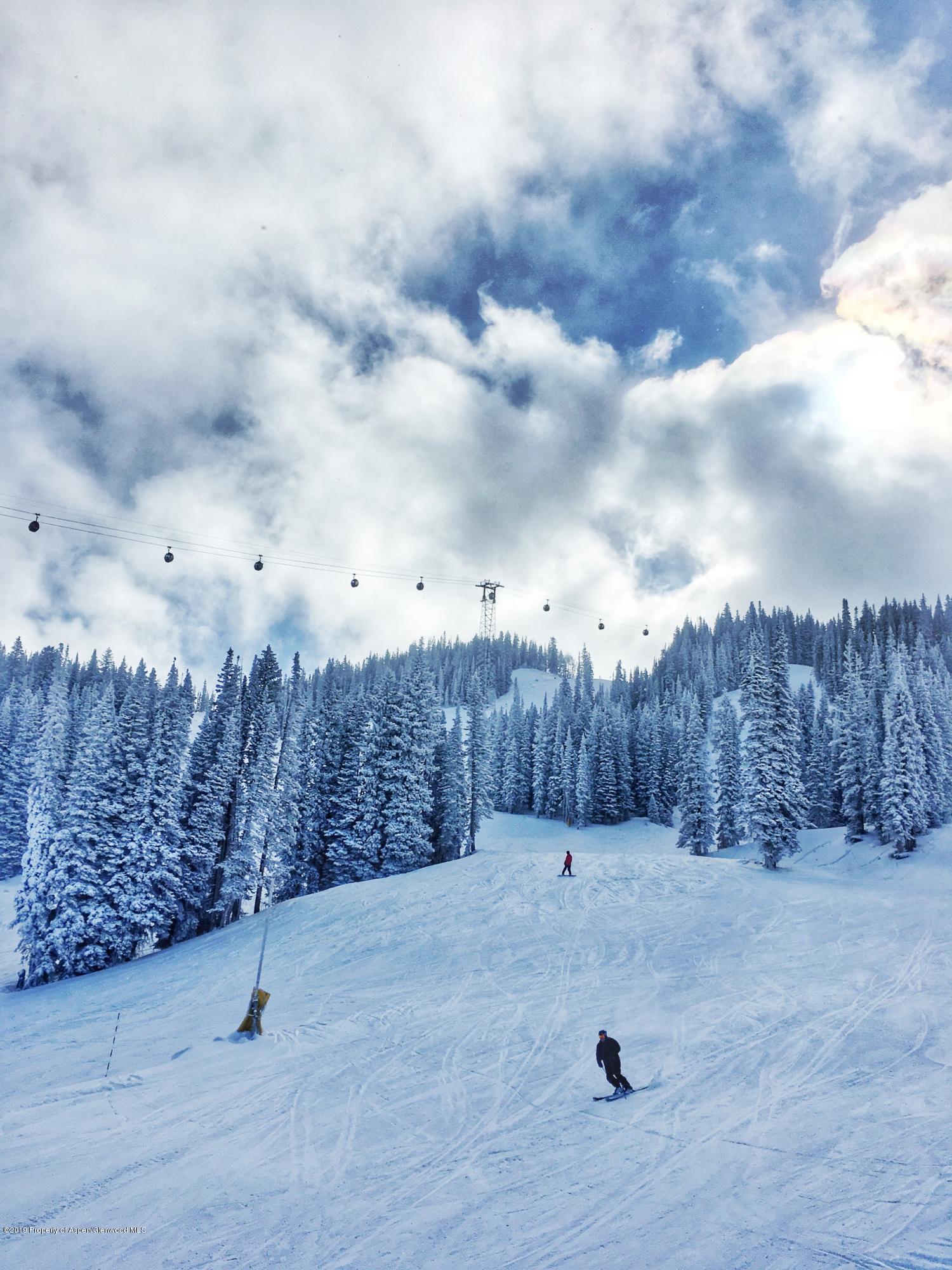 1039 E Cooper Avenue Aspen CO 81611