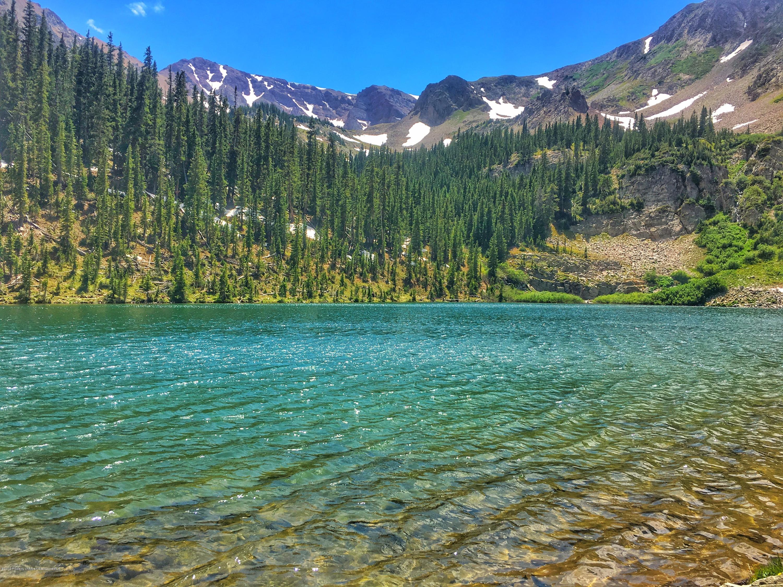 1039 E Cooper Avenue Aspen CO 81611