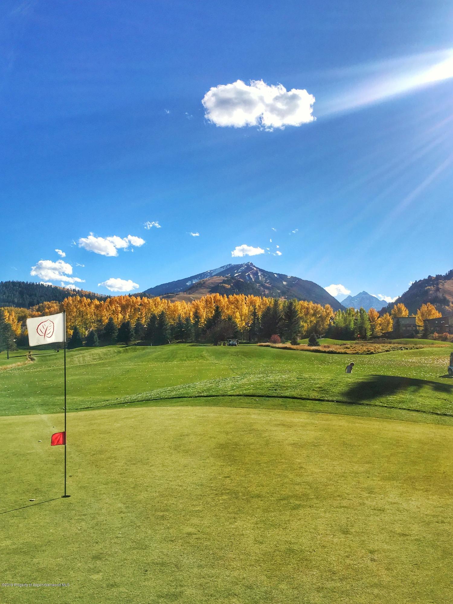 1039 E Cooper Avenue Aspen CO 81611