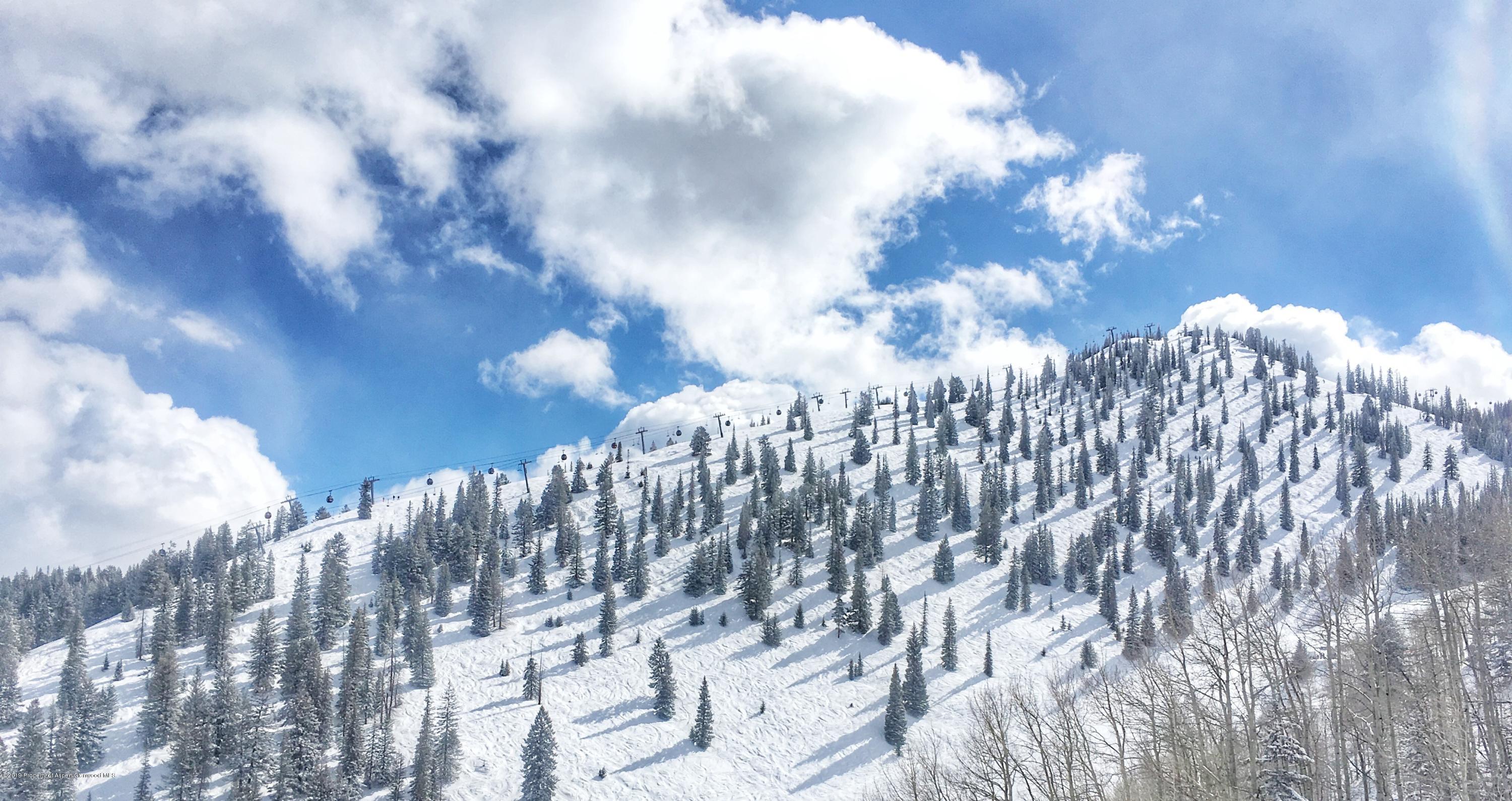 1039 E Cooper Avenue Aspen CO 81611