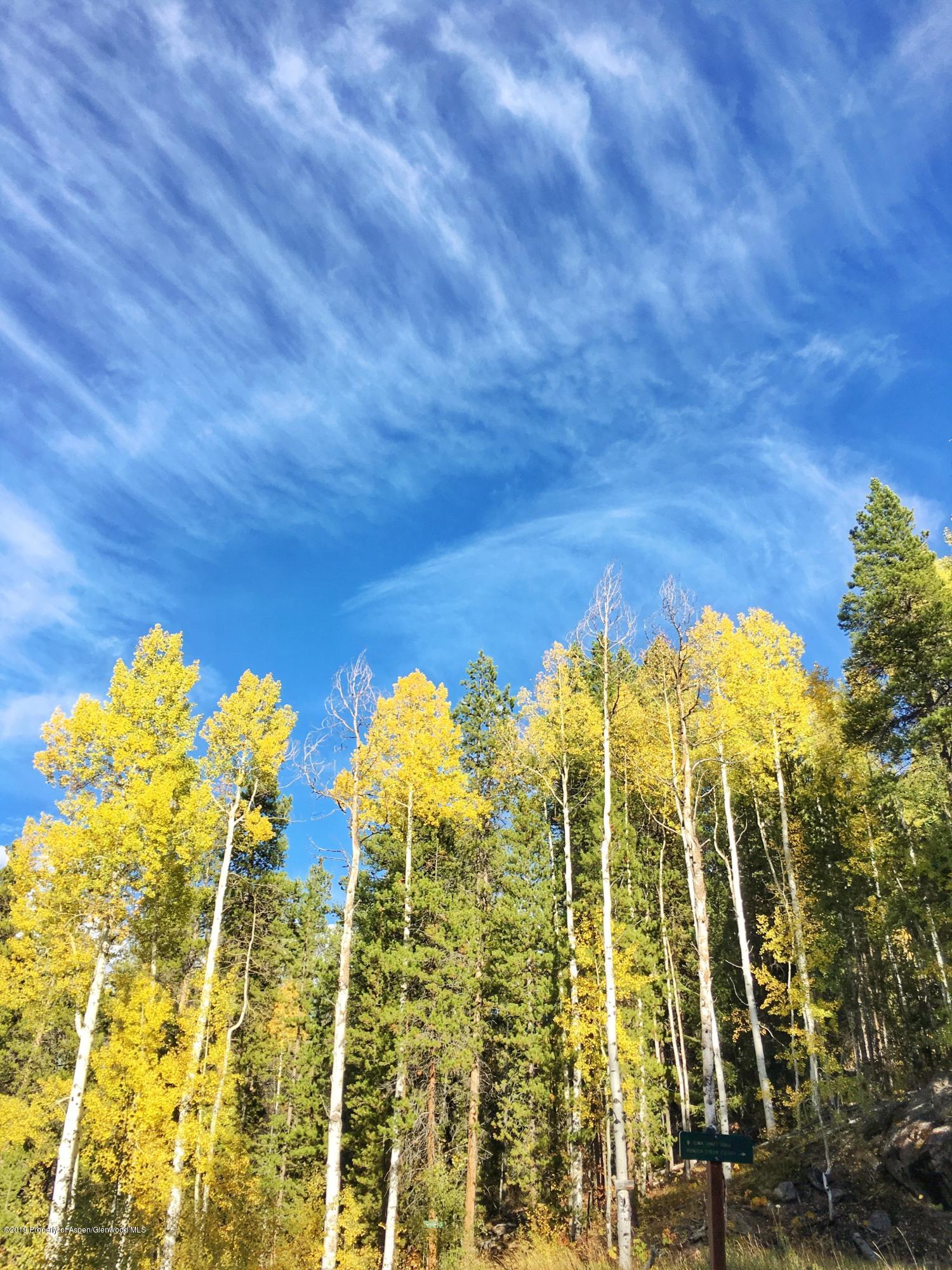 1039 E Cooper Avenue Aspen CO 81611