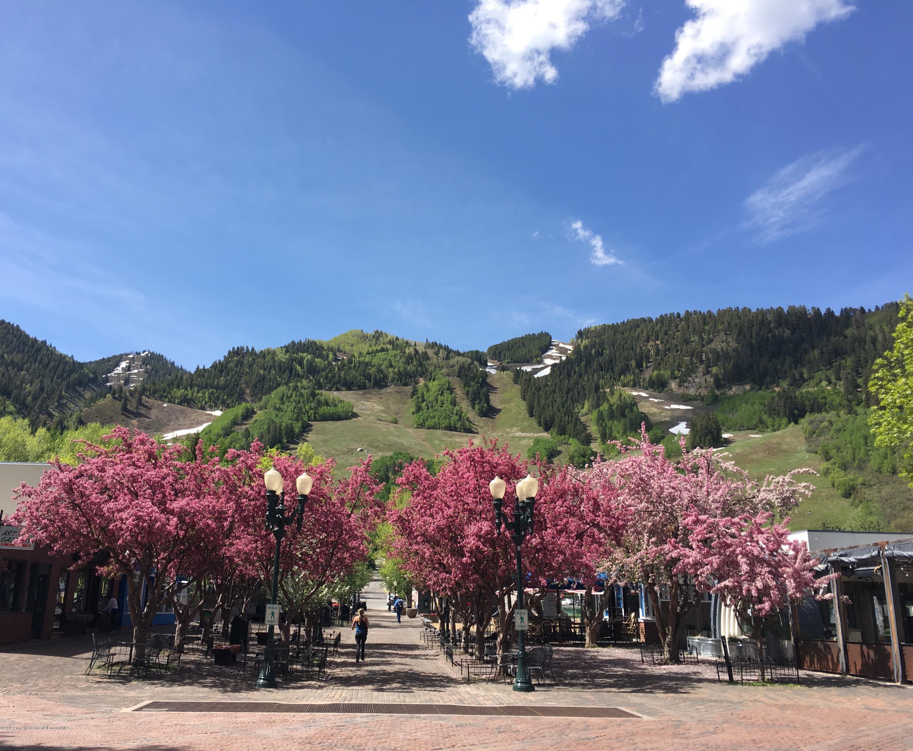 1039 E Cooper Avenue Aspen CO 81611