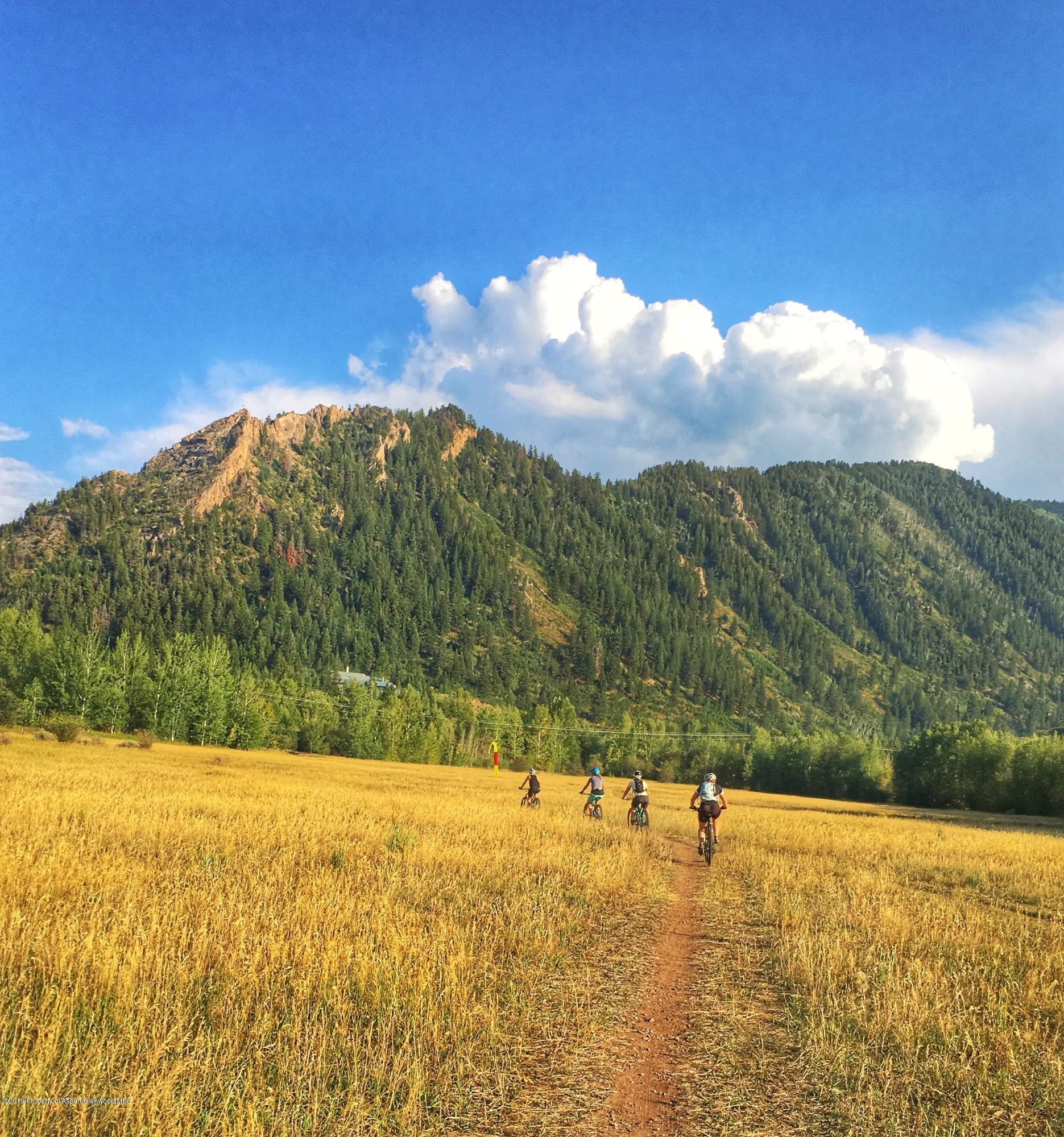 1039 E Cooper Avenue Aspen CO 81611