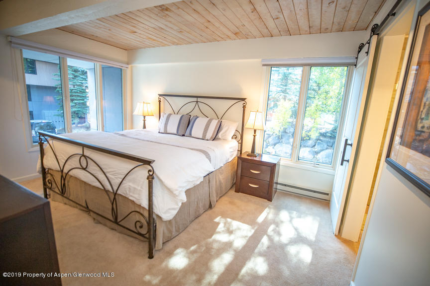 1039 E Cooper Avenue Aspen CO 81611