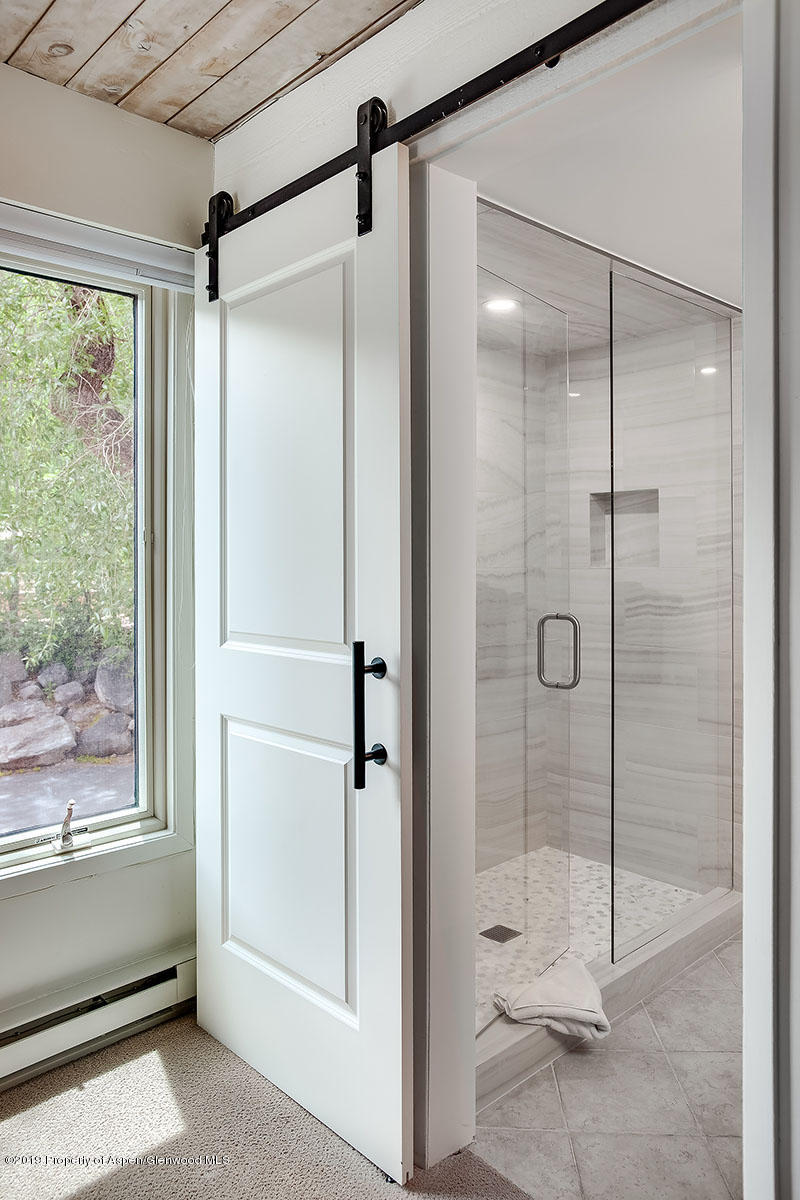 1039 E Cooper Avenue Aspen CO 81611