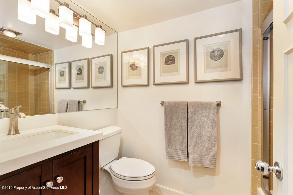 1039 E Cooper Avenue Aspen CO 81611