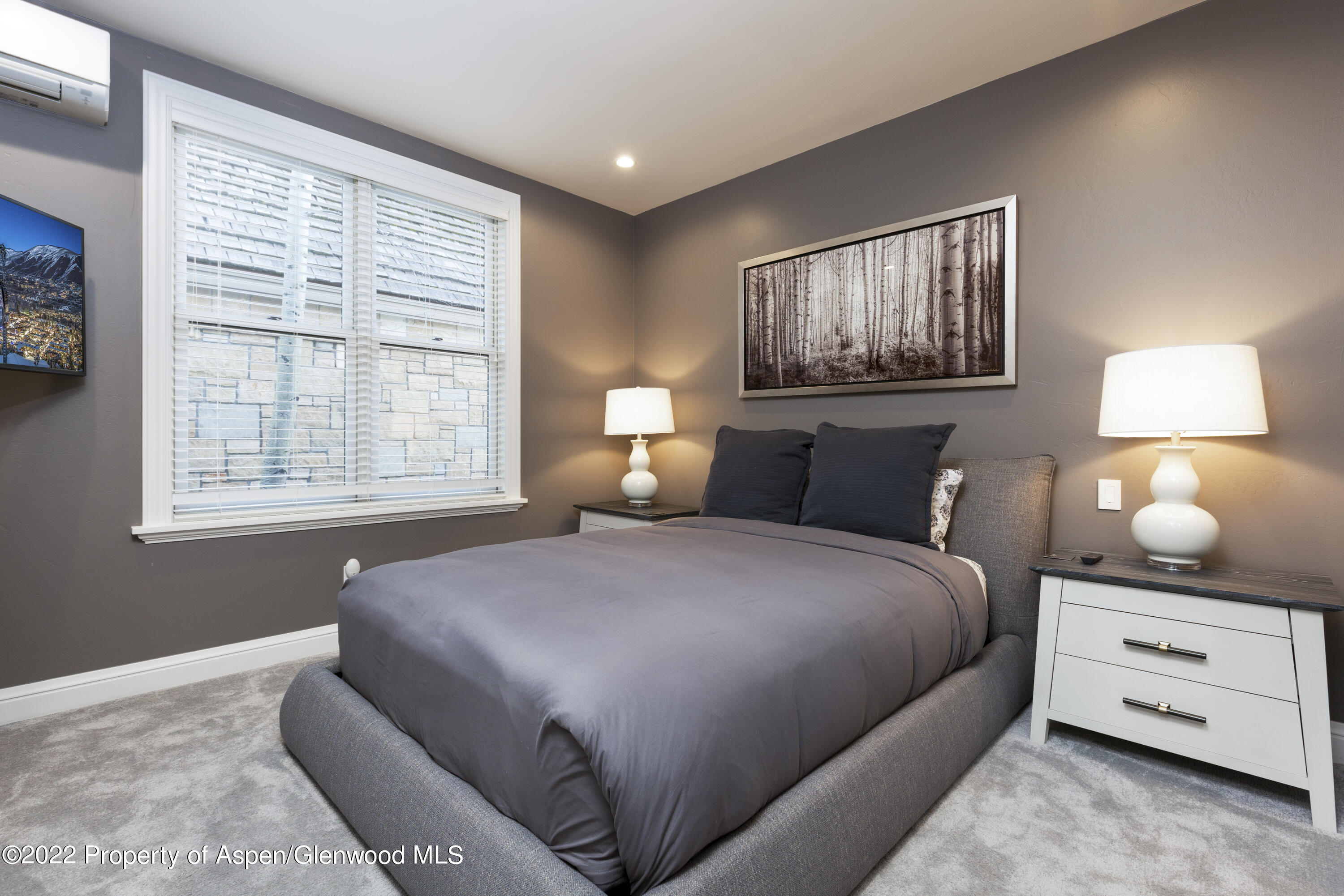 922 E Cooper Avenue Aspen CO 81611