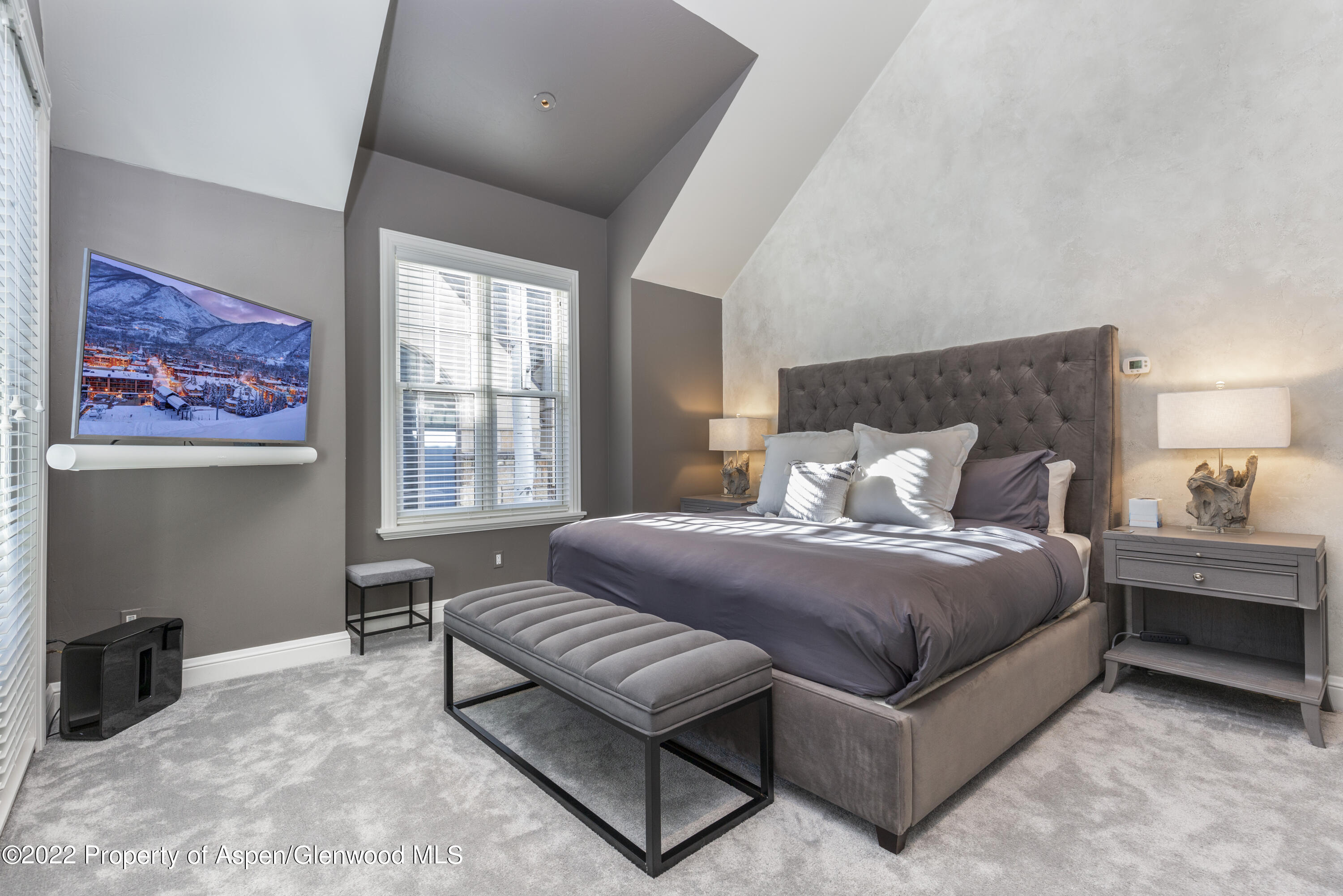 922 E Cooper Avenue Aspen CO 81611