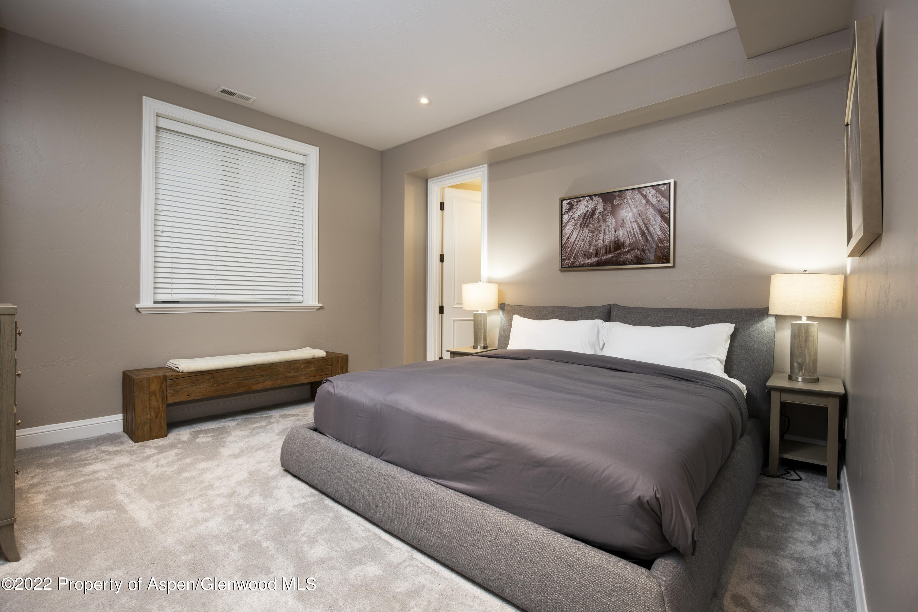 922 E Cooper Avenue Aspen CO 81611