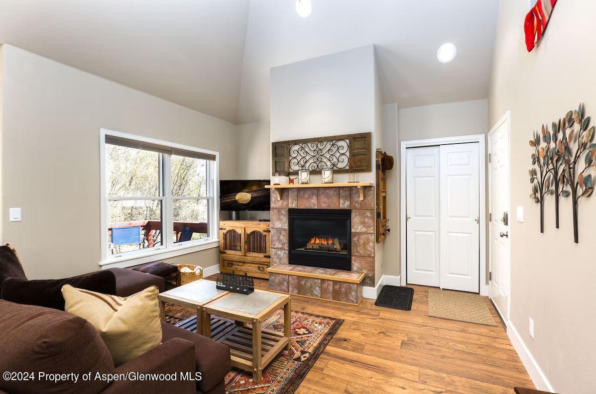 855 Gold Rivers Court Basalt CO 81621