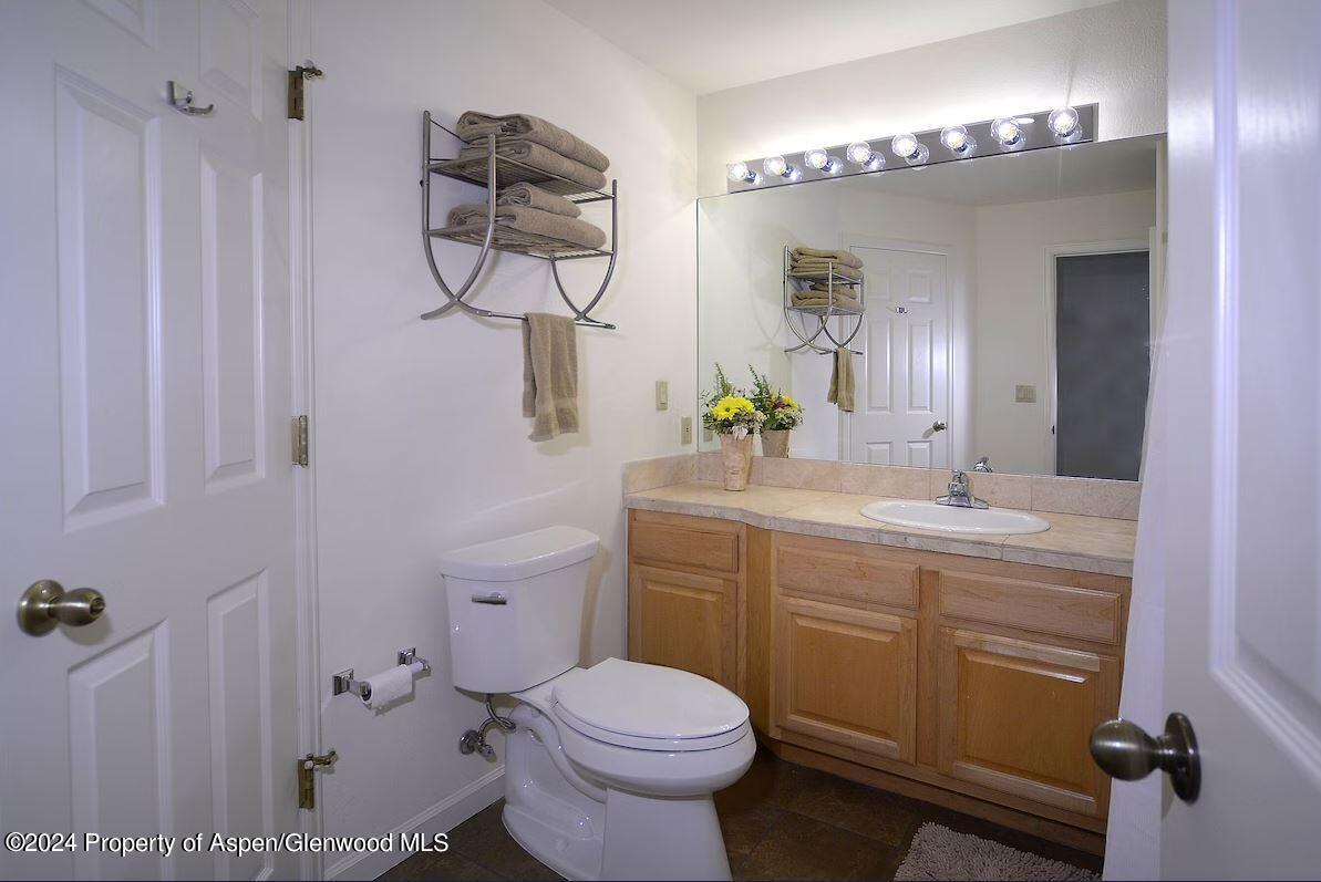 855 Gold Rivers Court Basalt CO 81621