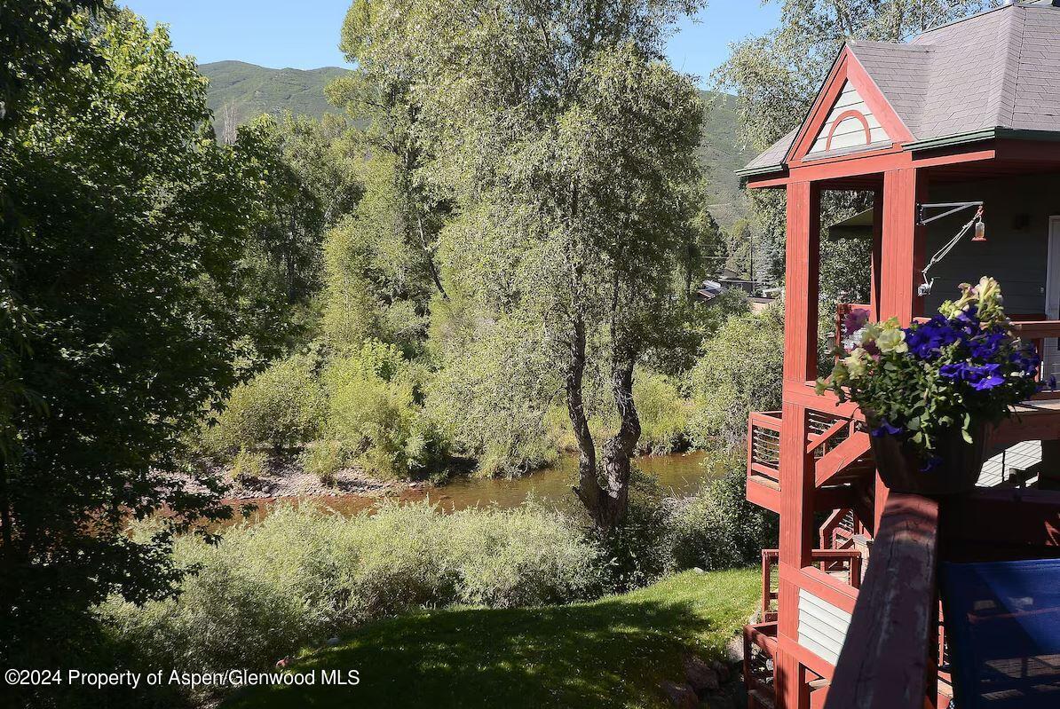 855 Gold Rivers Court Basalt CO 81621