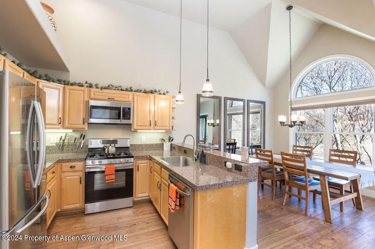 855 Gold Rivers Court Basalt CO 81621