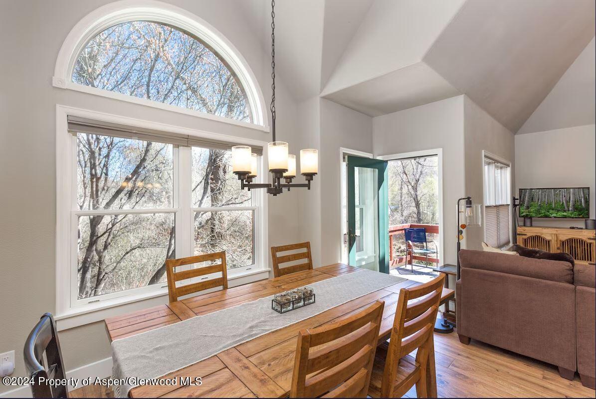 855 Gold Rivers Court Basalt CO 81621