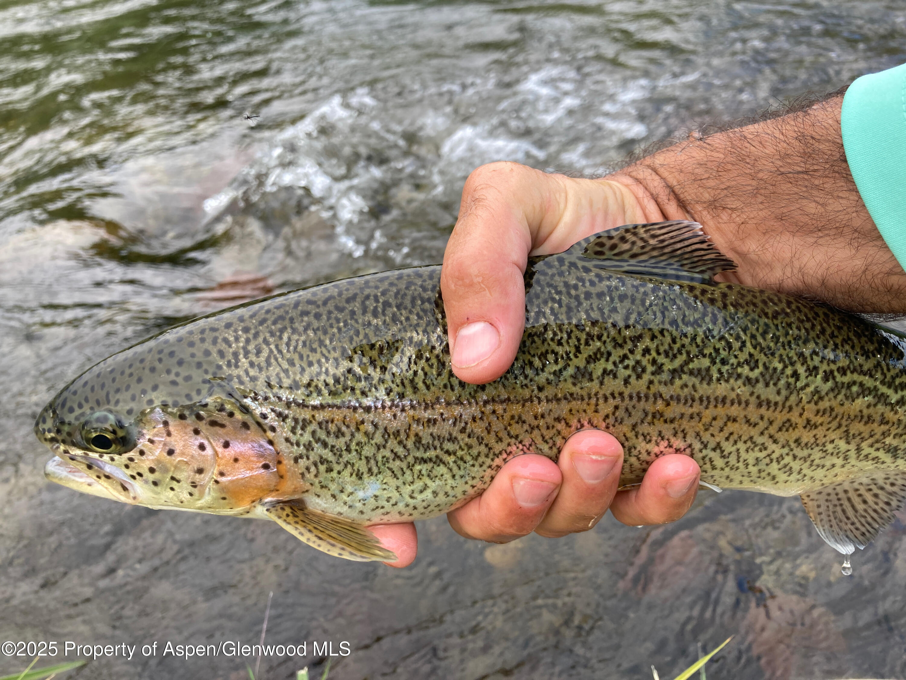 Carbondale CO, 404 Stagecoach Lane