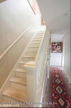 108 W Hyman Avenue Aspen CO 81611