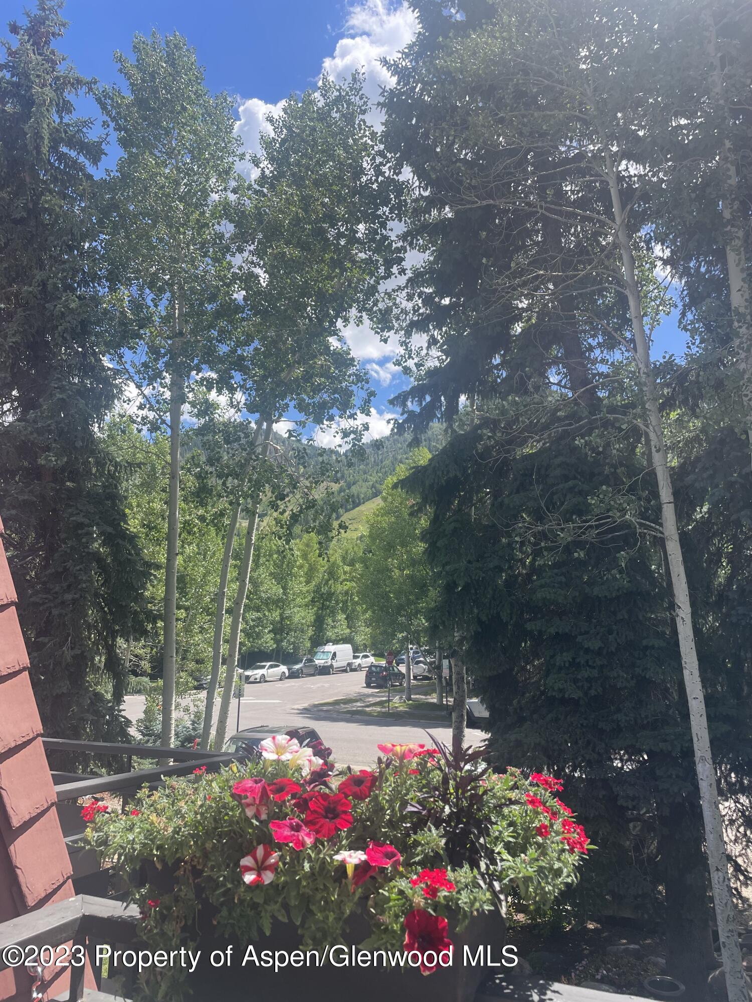 108 W Hyman Avenue Aspen CO 81611