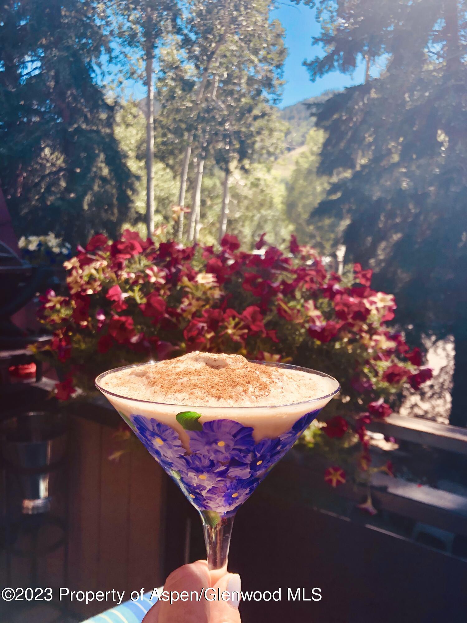 108 W Hyman Avenue Aspen CO 81611