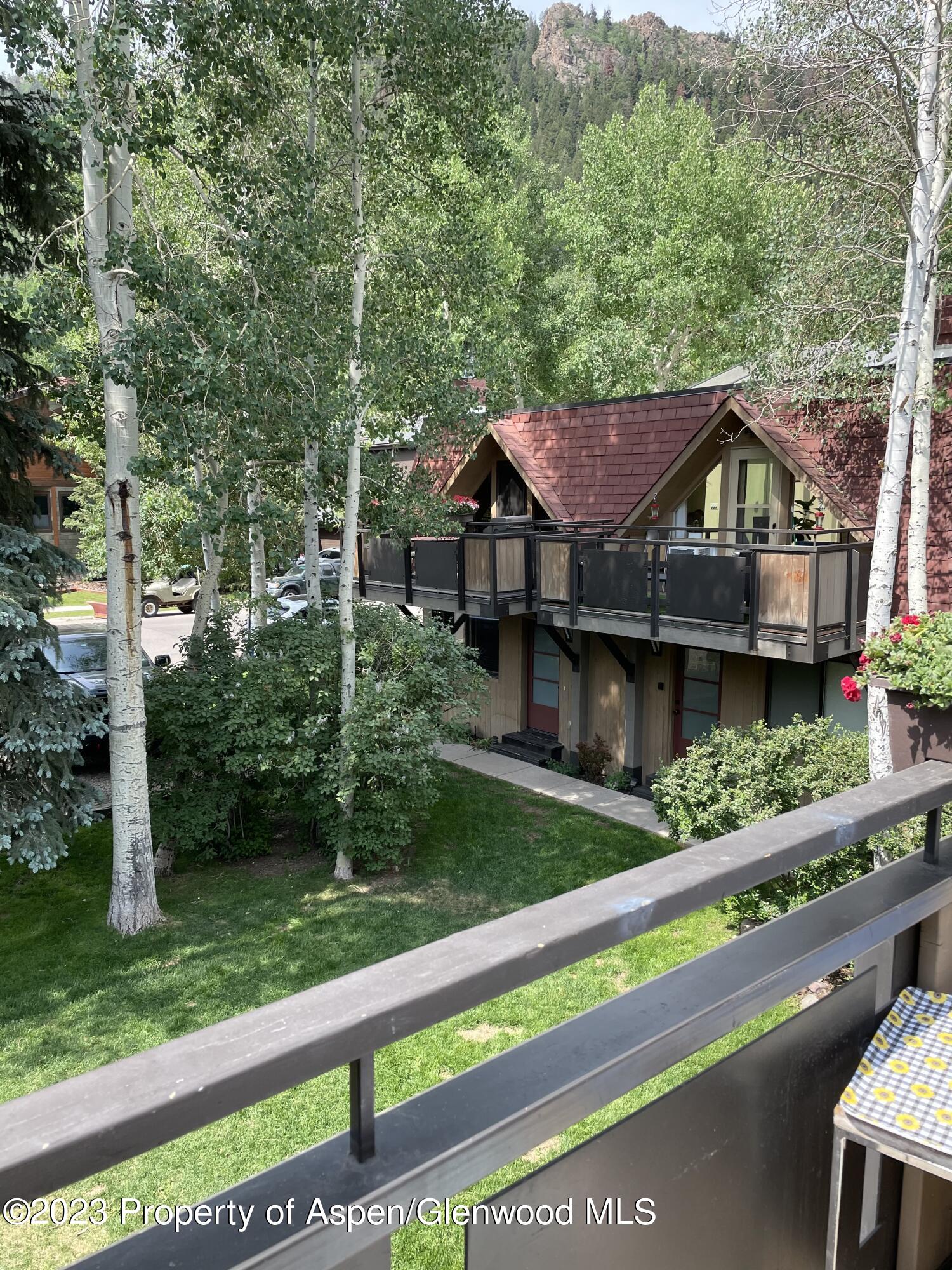 108 W Hyman Avenue Aspen CO 81611