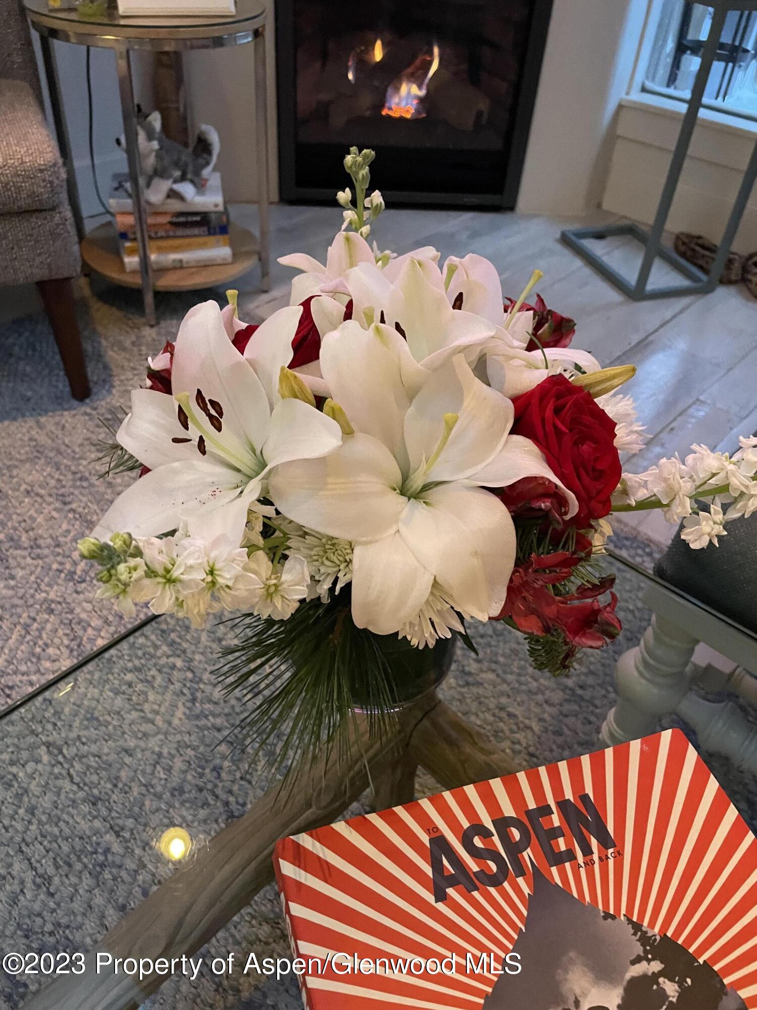 108 W Hyman Avenue Aspen CO 81611