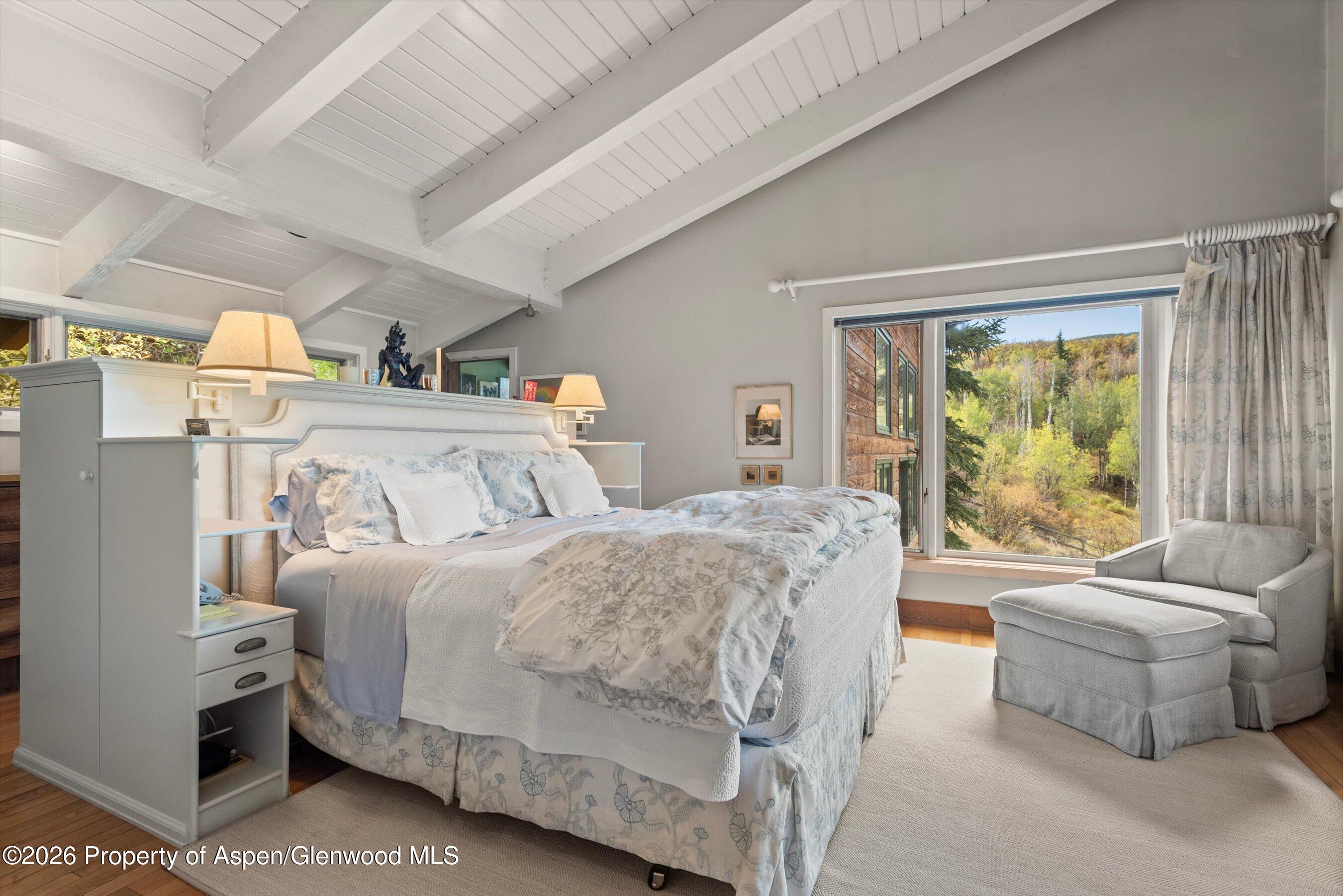 278 Oak Ridge Drive Aspen CO 81611