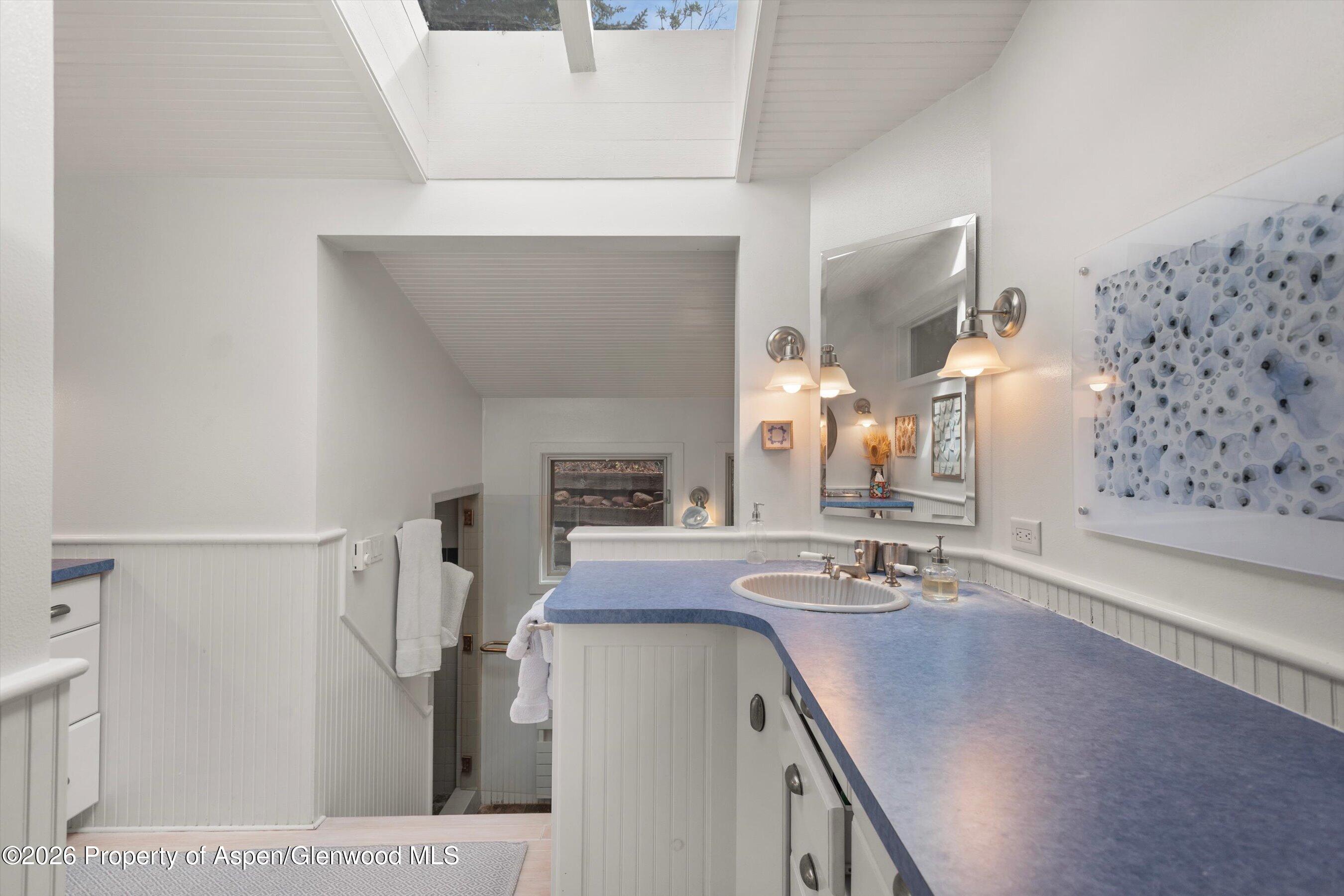 278 Oak Ridge Drive Aspen CO 81611